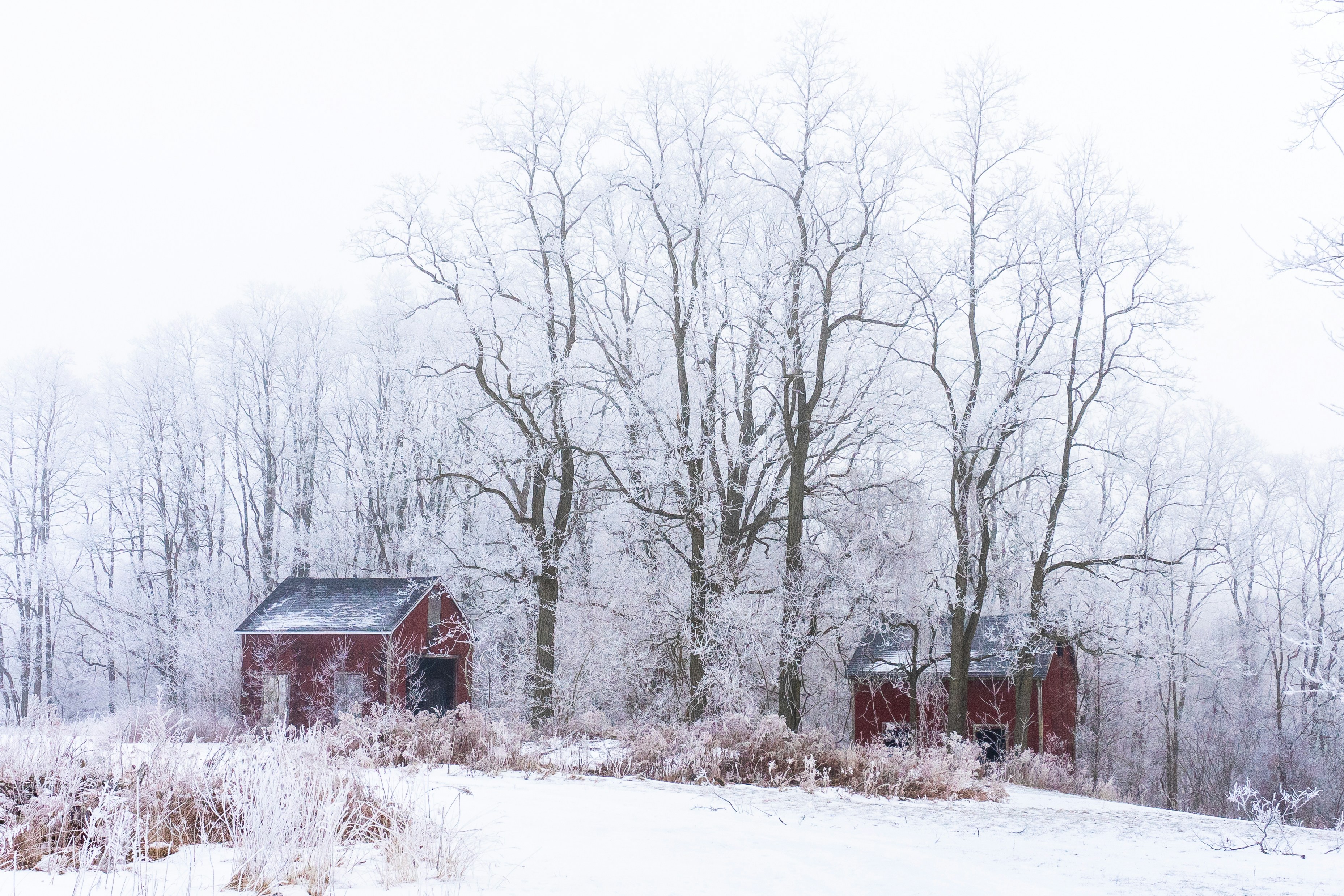 Photo by michael_g_krahn