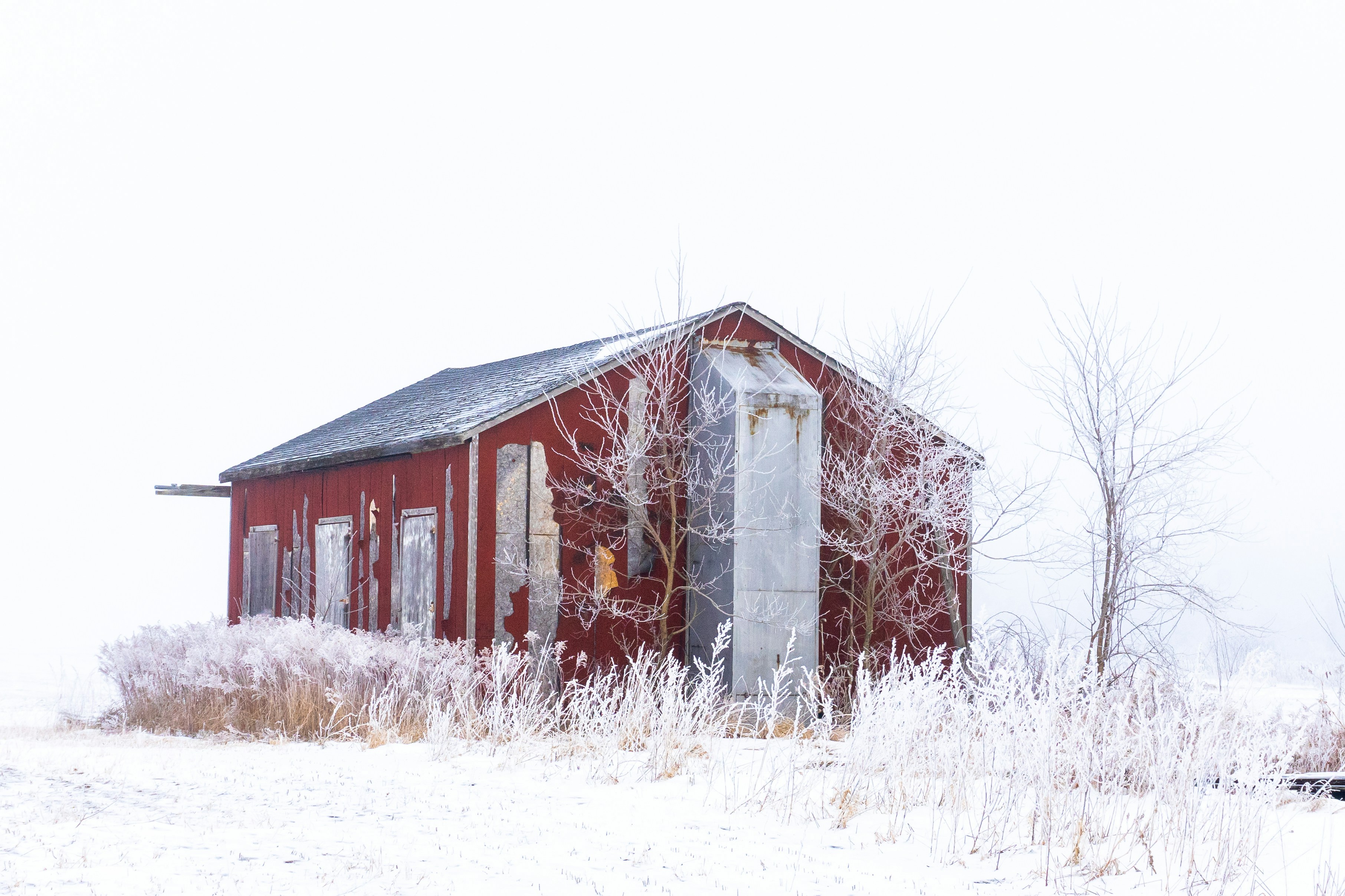 Photo by michael_g_krahn