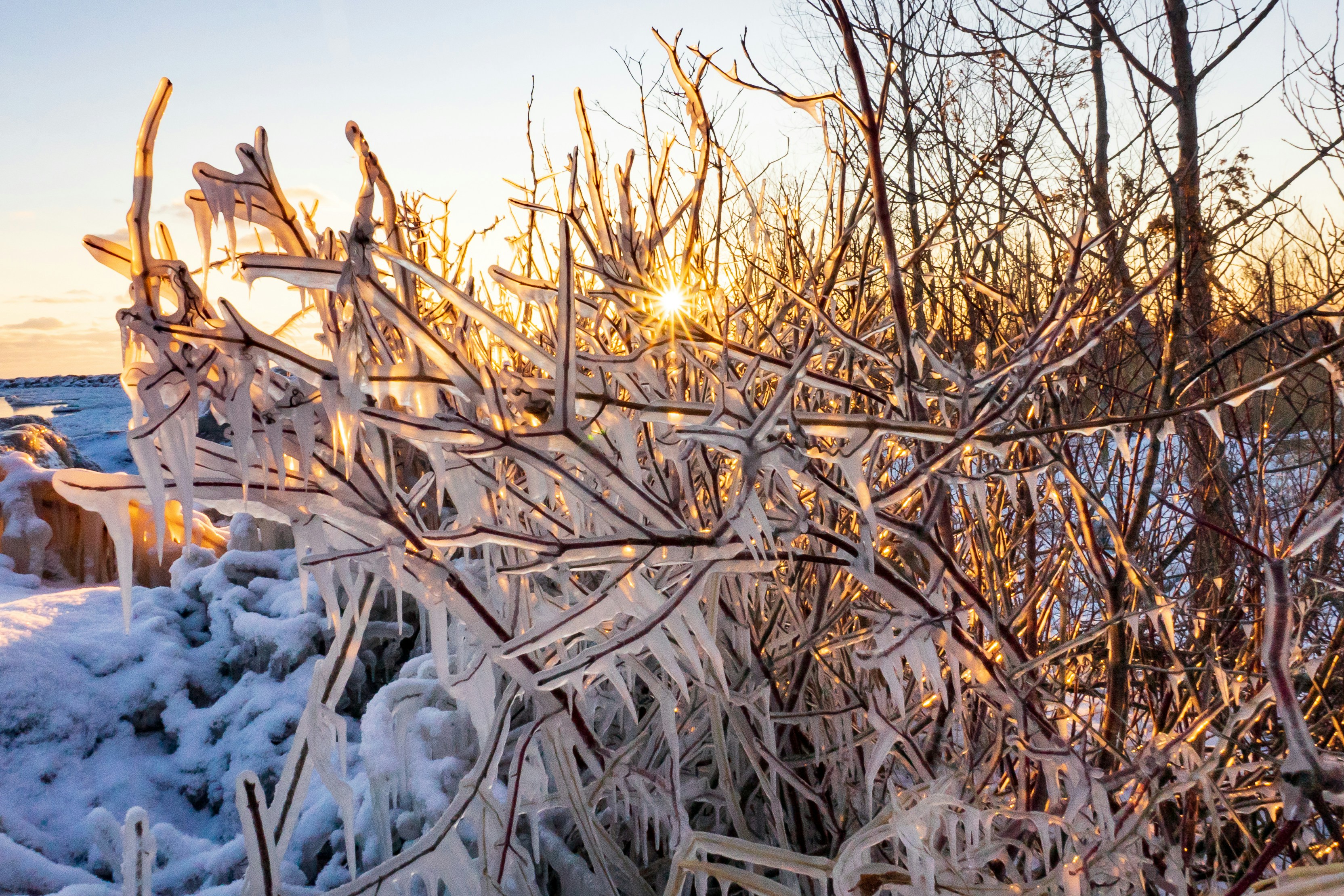 Photo by michael_g_krahn