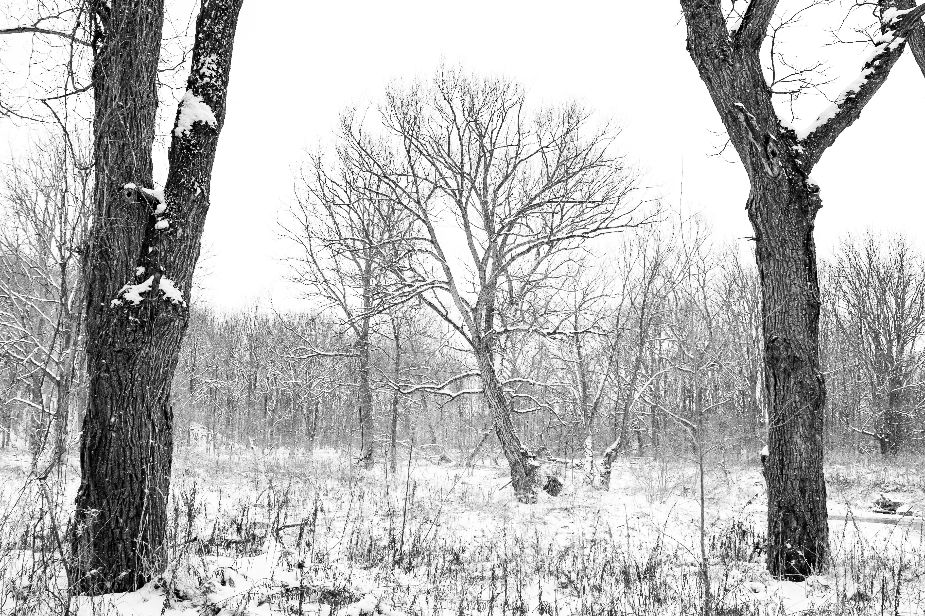 Photo by michael_g_krahn