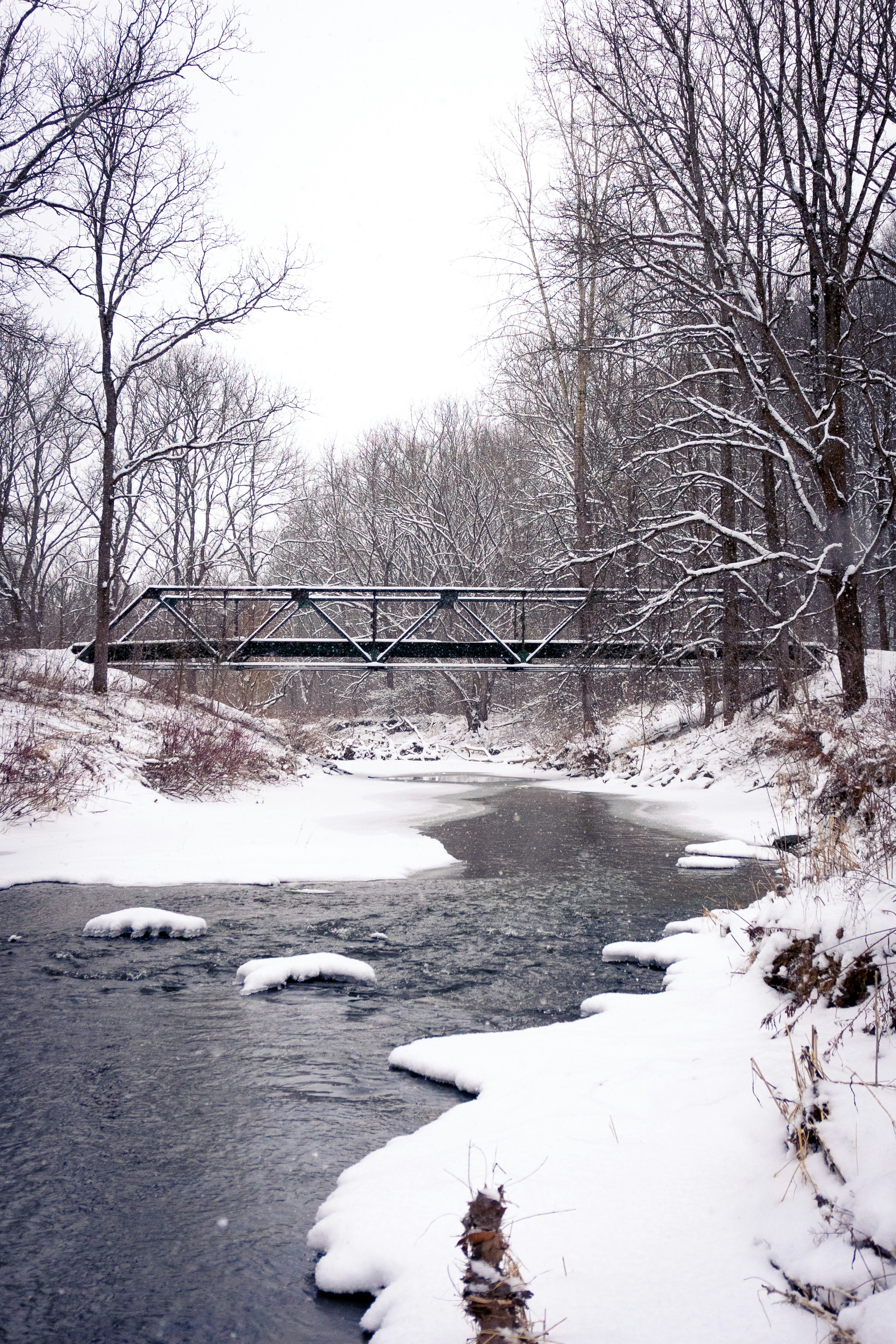 Photo by michael_g_krahn