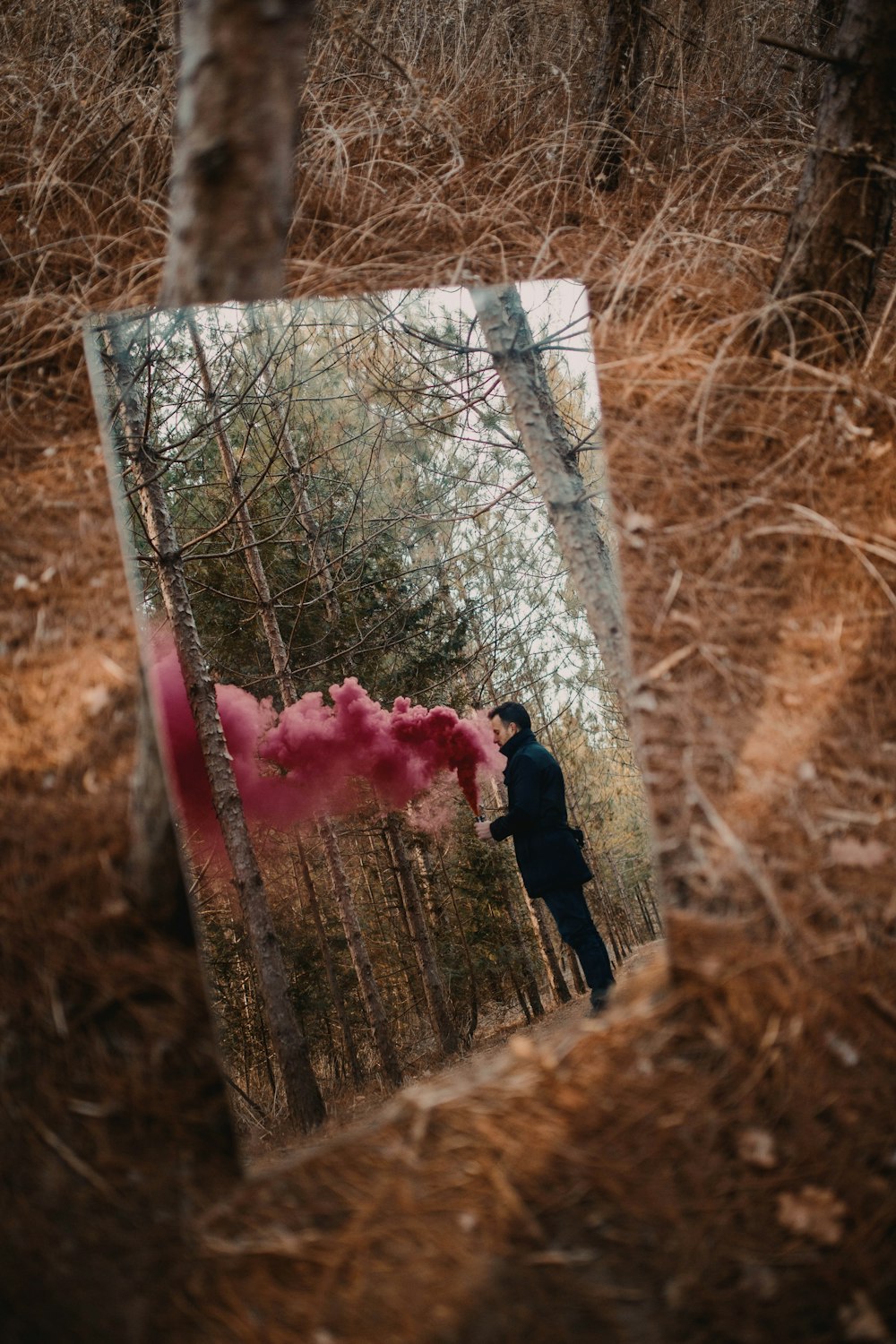 woman in black jacket and black pants standing on brown dried leaves during daytime