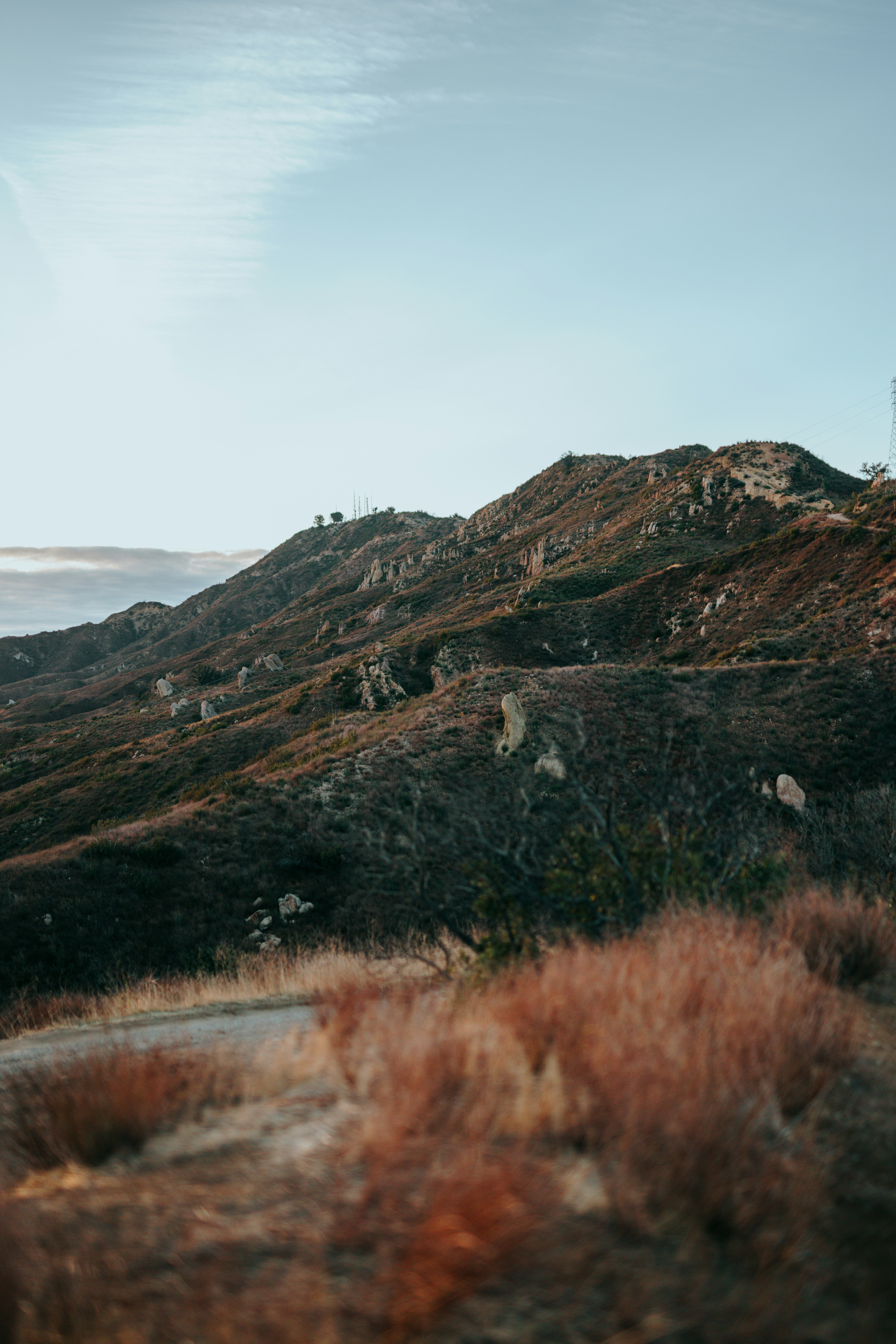 Photo by nate_dumlao