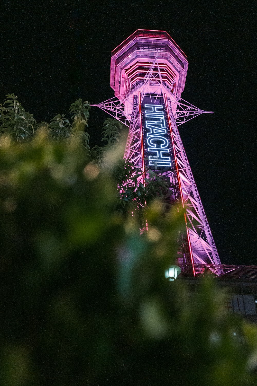 green trees near purple tower during night time