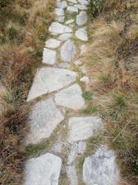 A set of rugged, Texas-shaped concrete stones arranged along a dirt garden path with wildflowers.