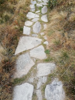 A hardscape design featuring a stone patio and decorative pathways.