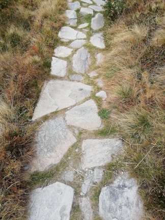 Modern landscaping design featuring natural stone paths and native plants.