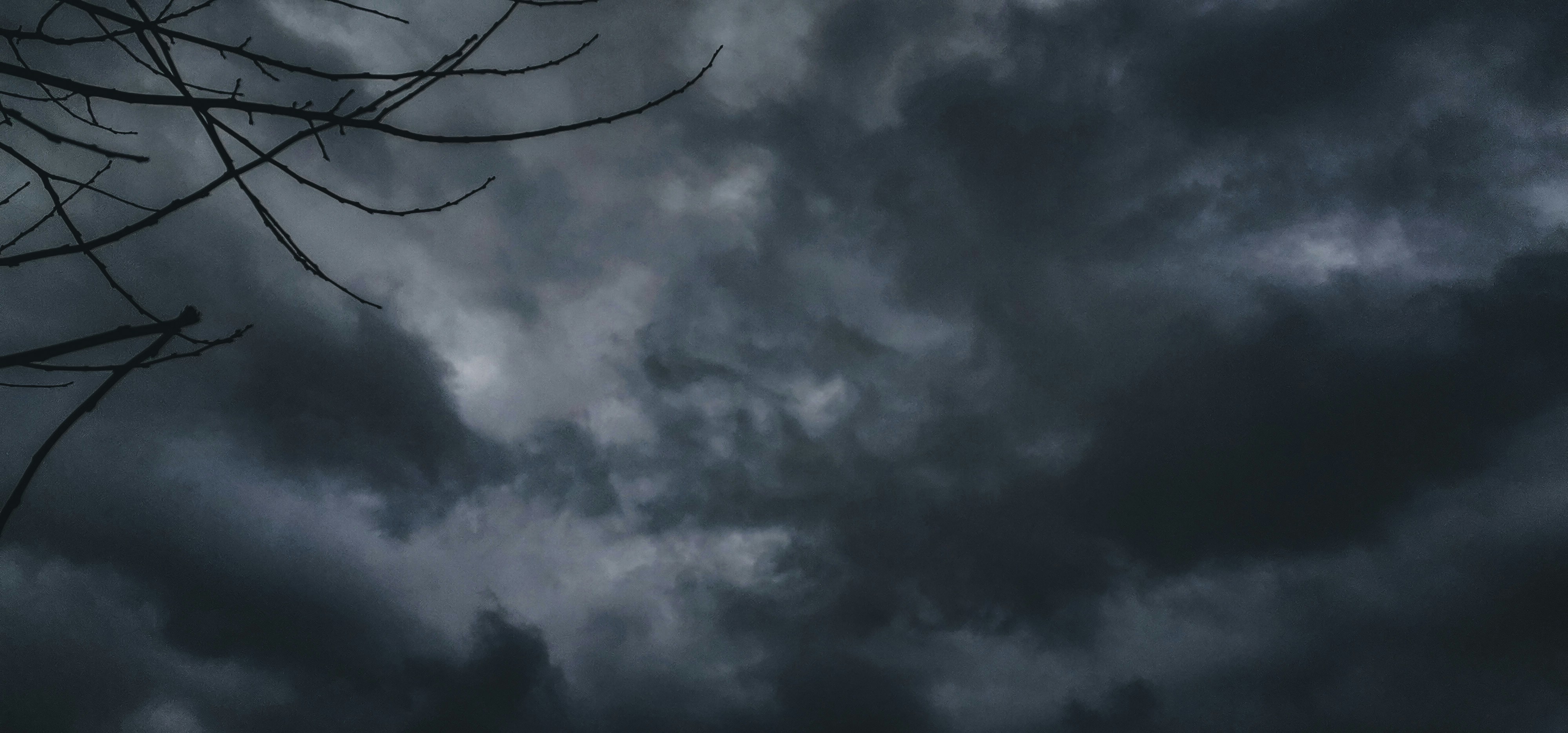 Dark Desire