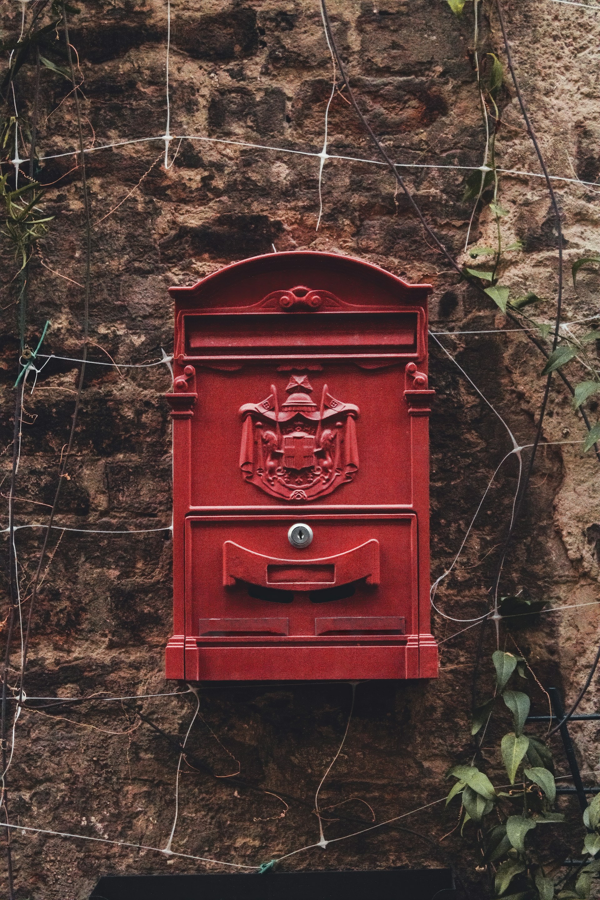red mail box on brown tree branch
