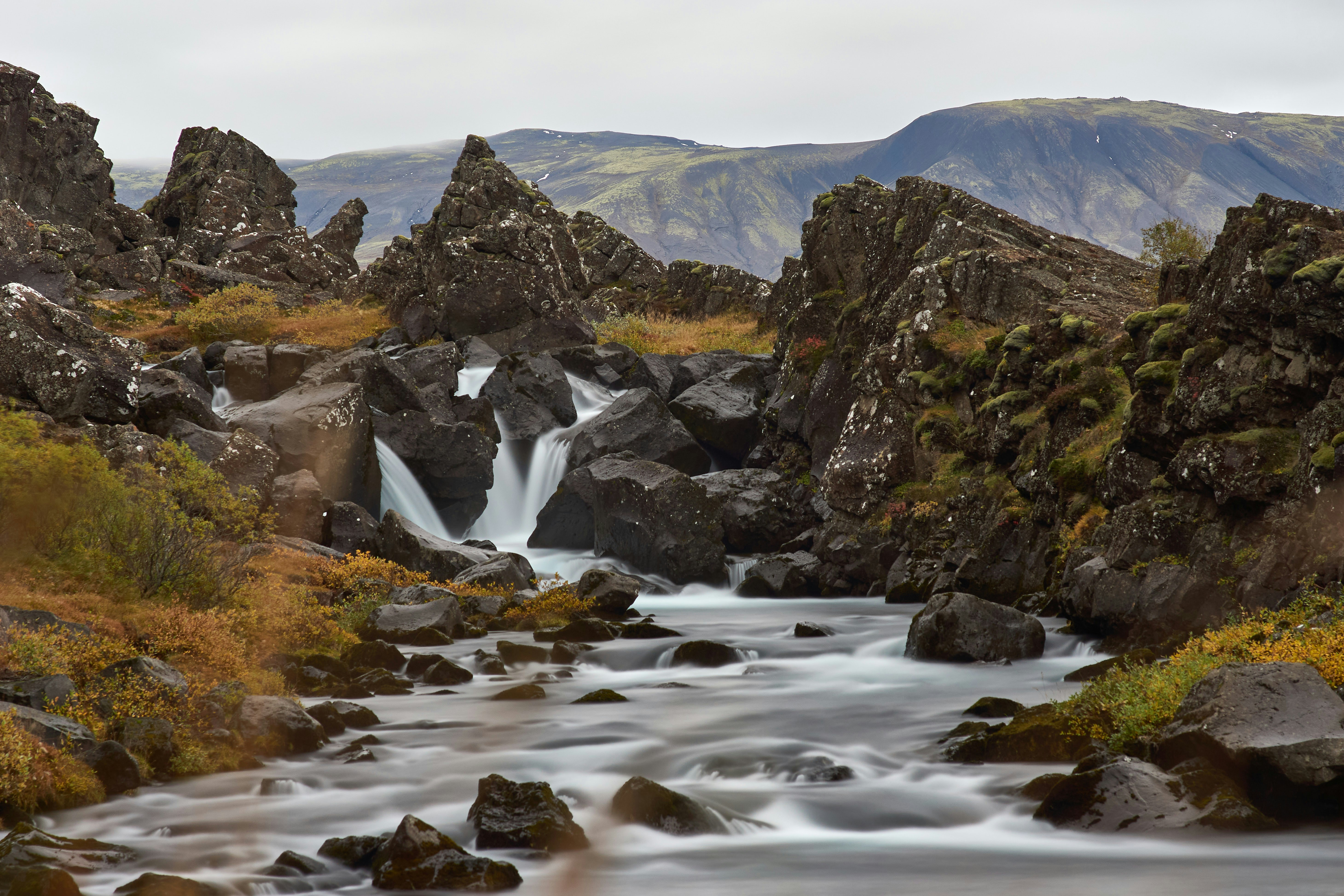 Photo by wolfgang_hasselmann