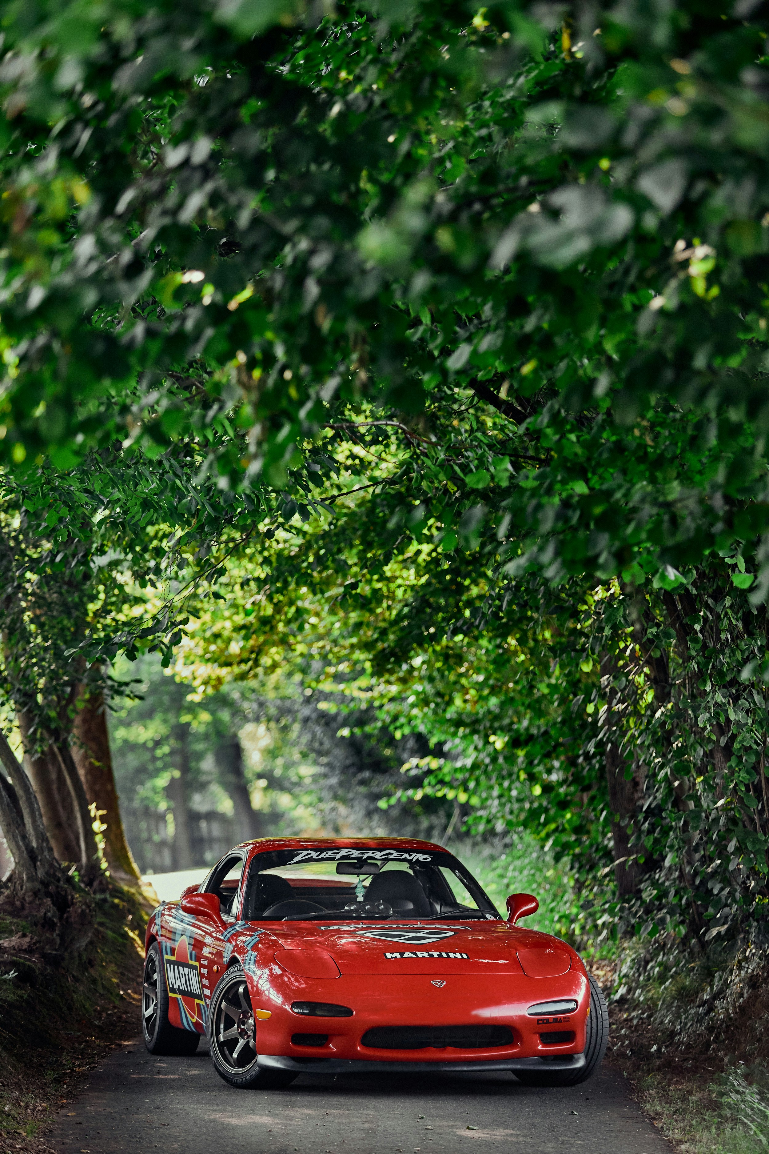 red car parked near green trees during daytime