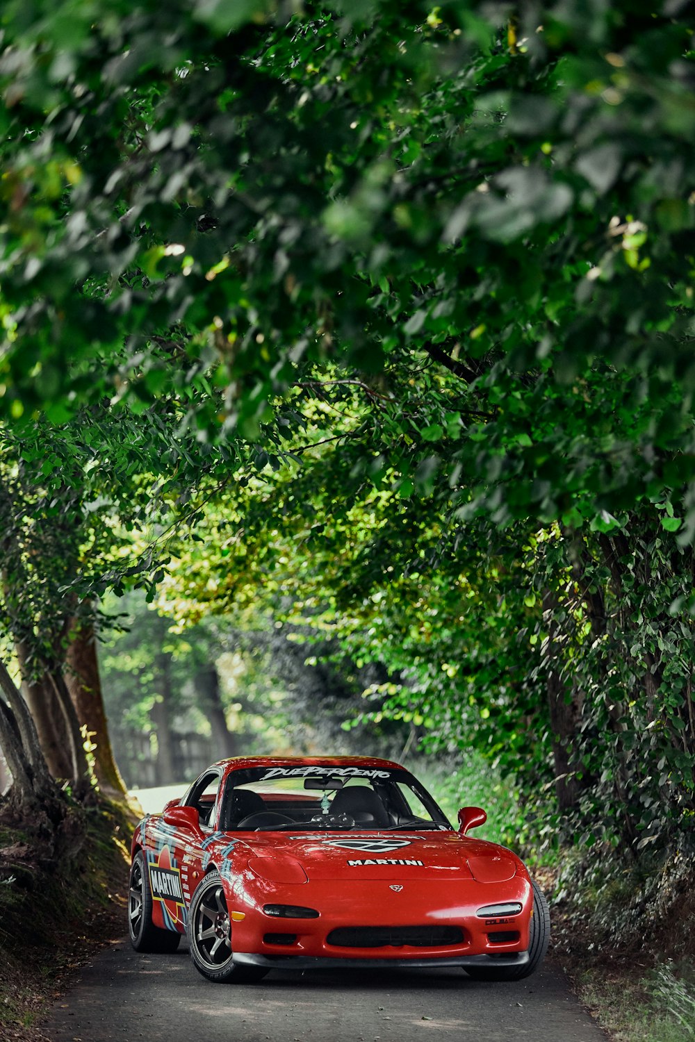 Rotes Auto tagsüber in der Nähe grüner Bäume geparkt