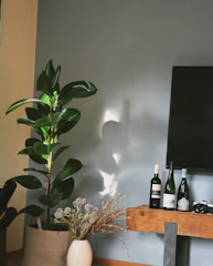 Cozy French apartment corner with sage green and terracotta accents, featuring stylish decor and warm lighting.