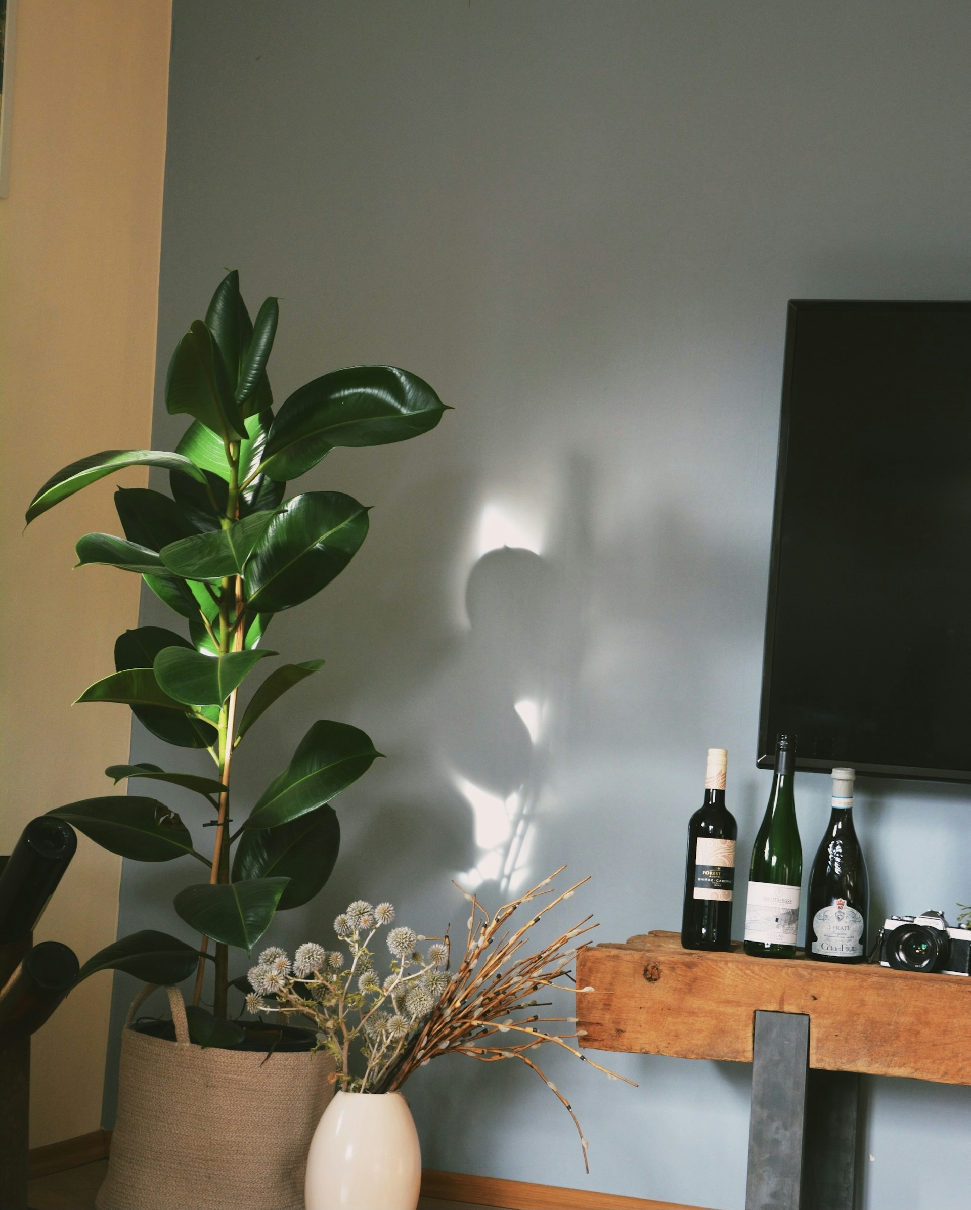 woman holding dried flower