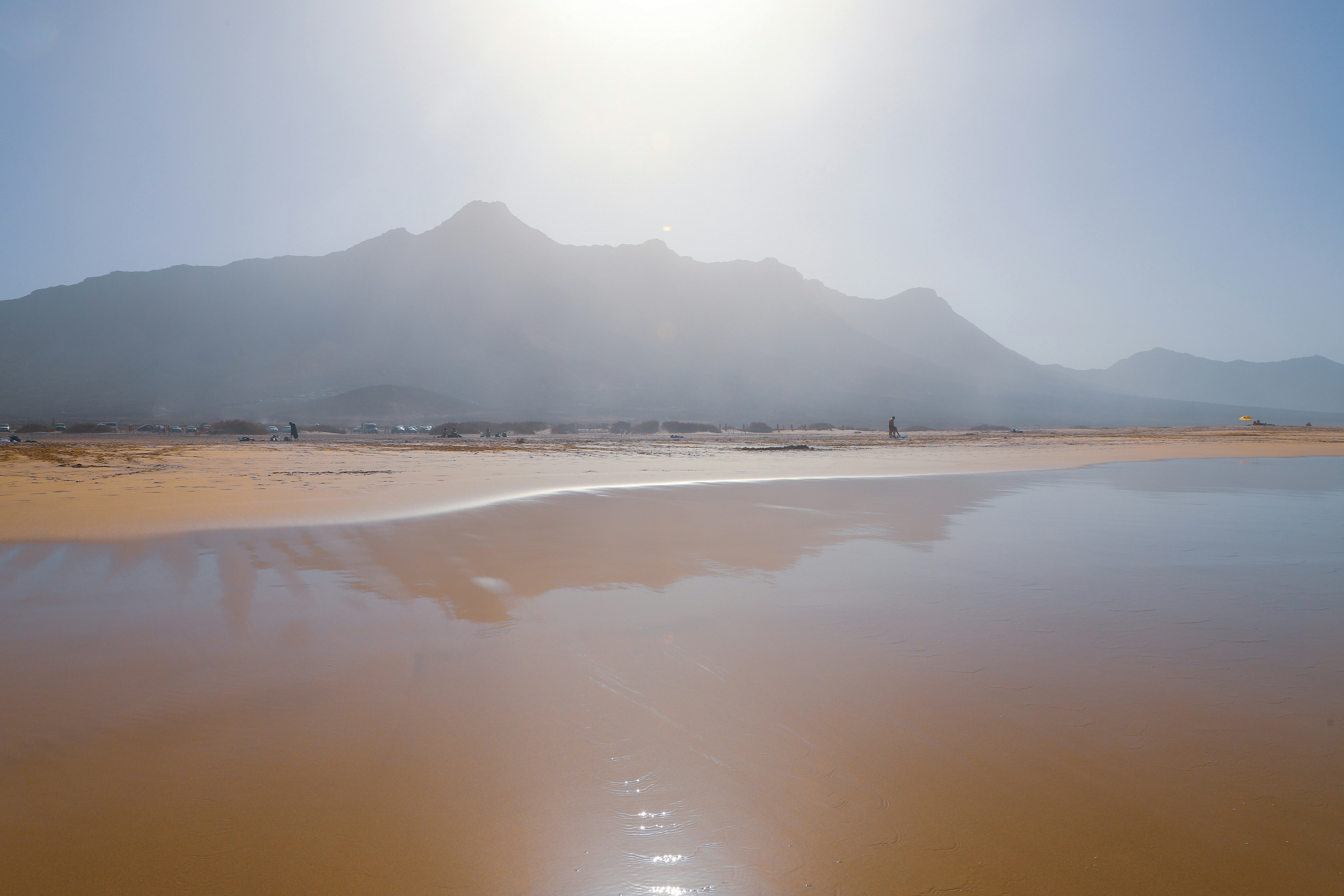 people on beach during daytime