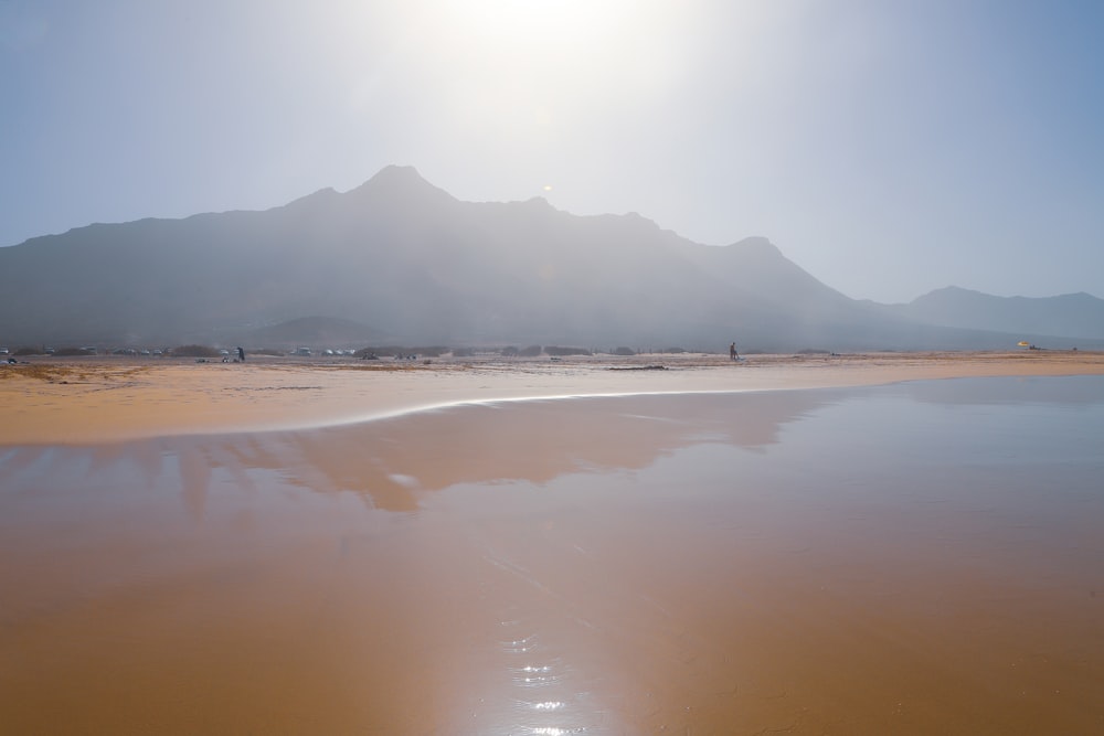 people on beach during daytime