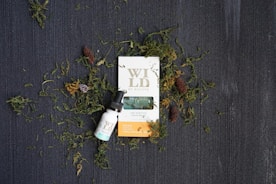 Tinctures Fest: A Global Celebration of Herbalism, Healing, and Culture