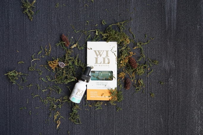 Tinctures Fest: A Global Celebration of Herbalism, Healing, and Culture