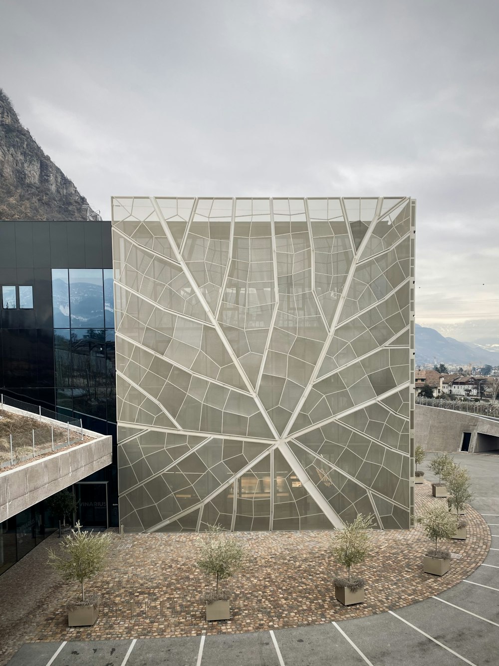 glass building near green grass field during daytime