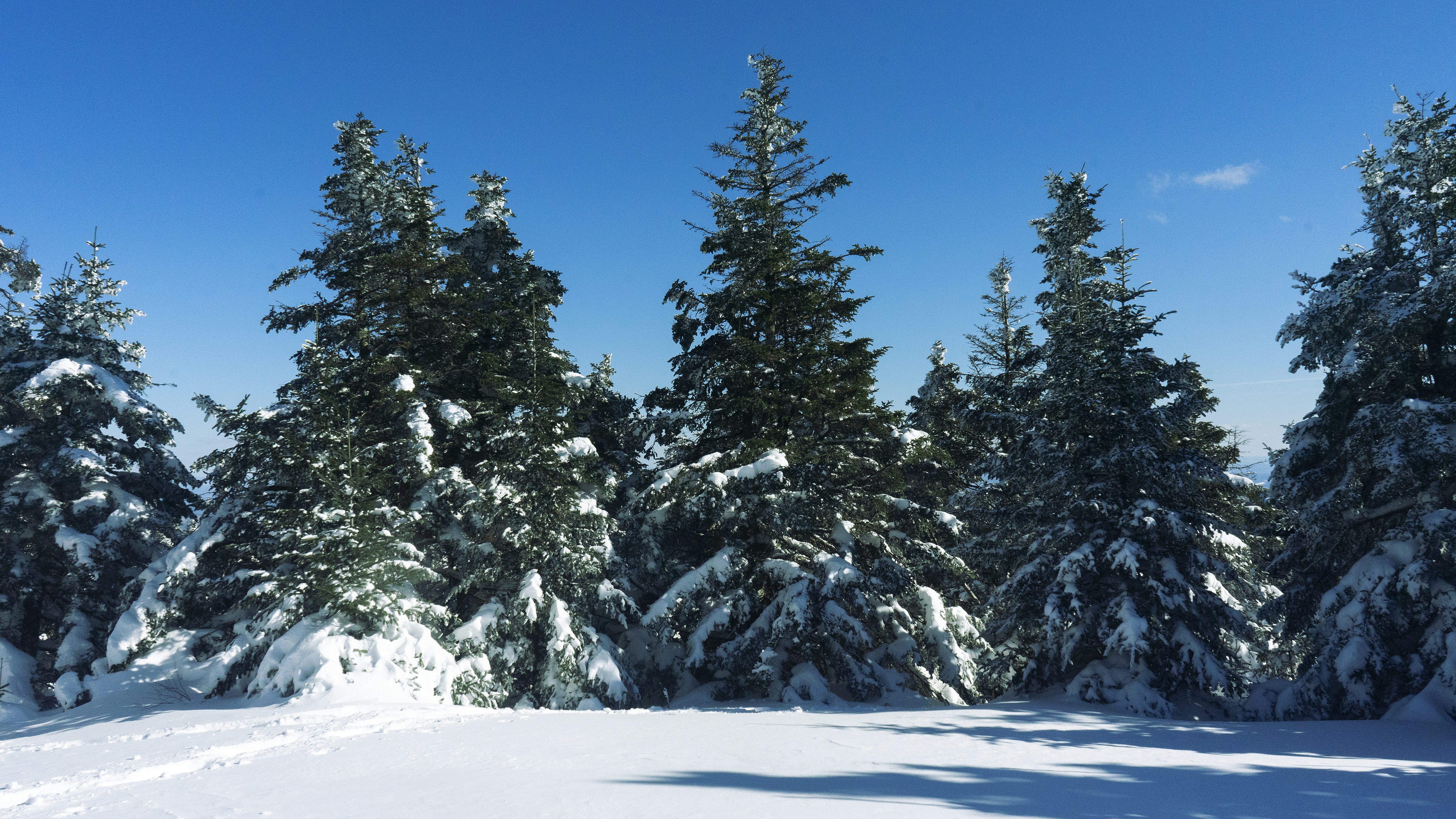 Photo by vfbranciforti