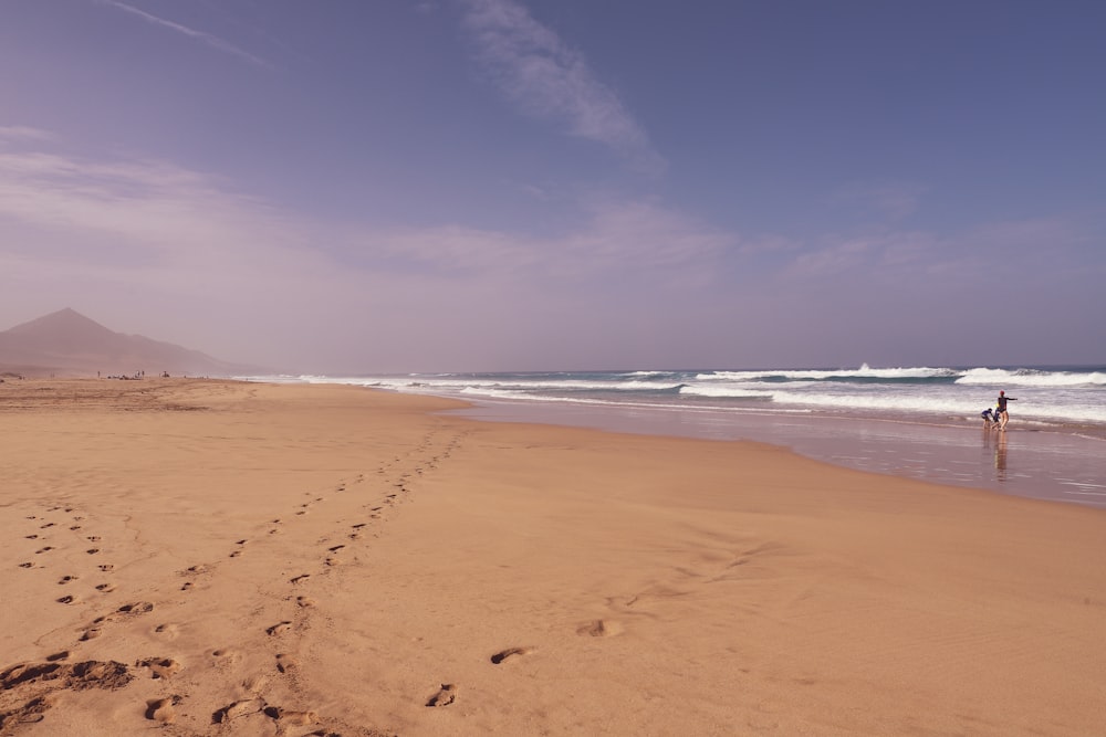 brown sand beach under blue sky during daytime