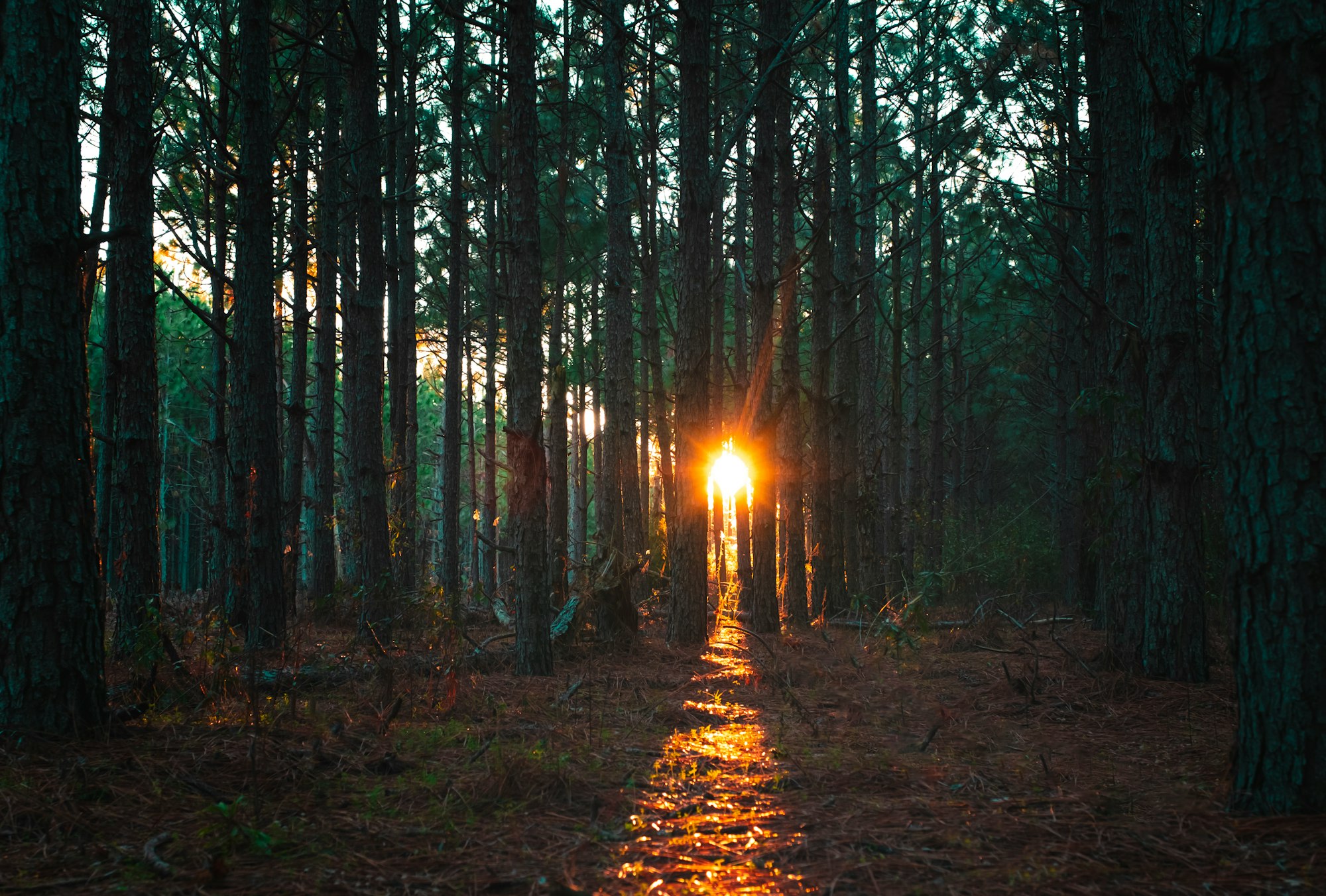 Looking Back on God’s Faithfulness in 2026
