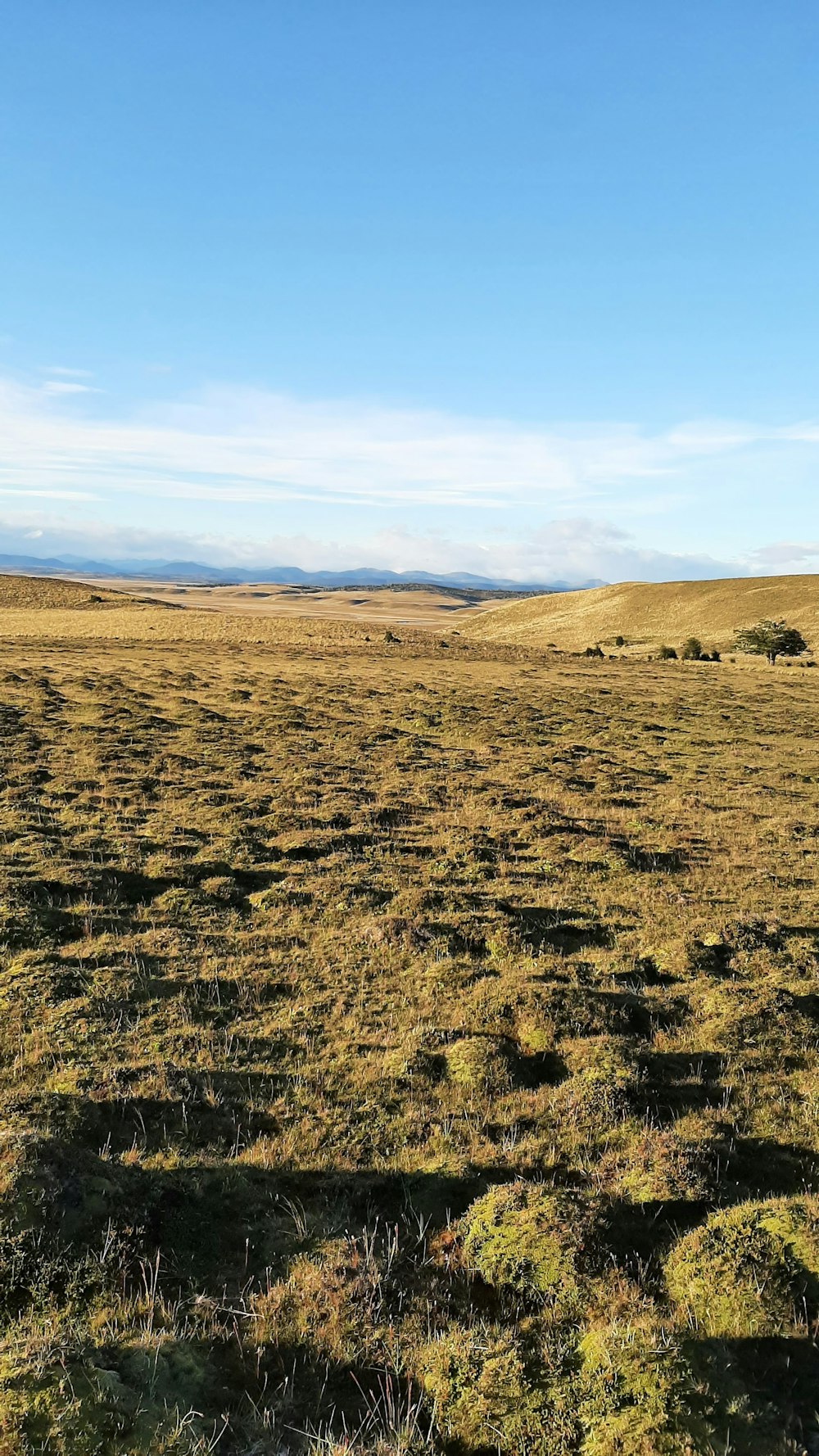 Campo marrone sotto cielo blu durante il giorno