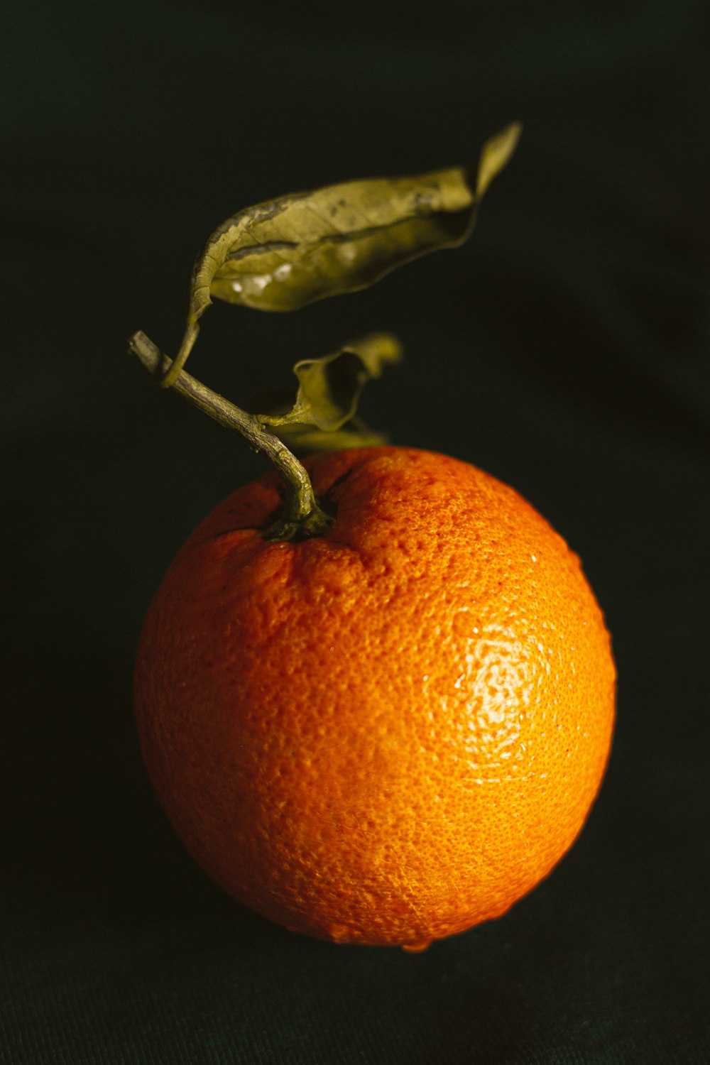 黒い表面にオレンジ色の果実