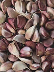 purple and white garlic lot