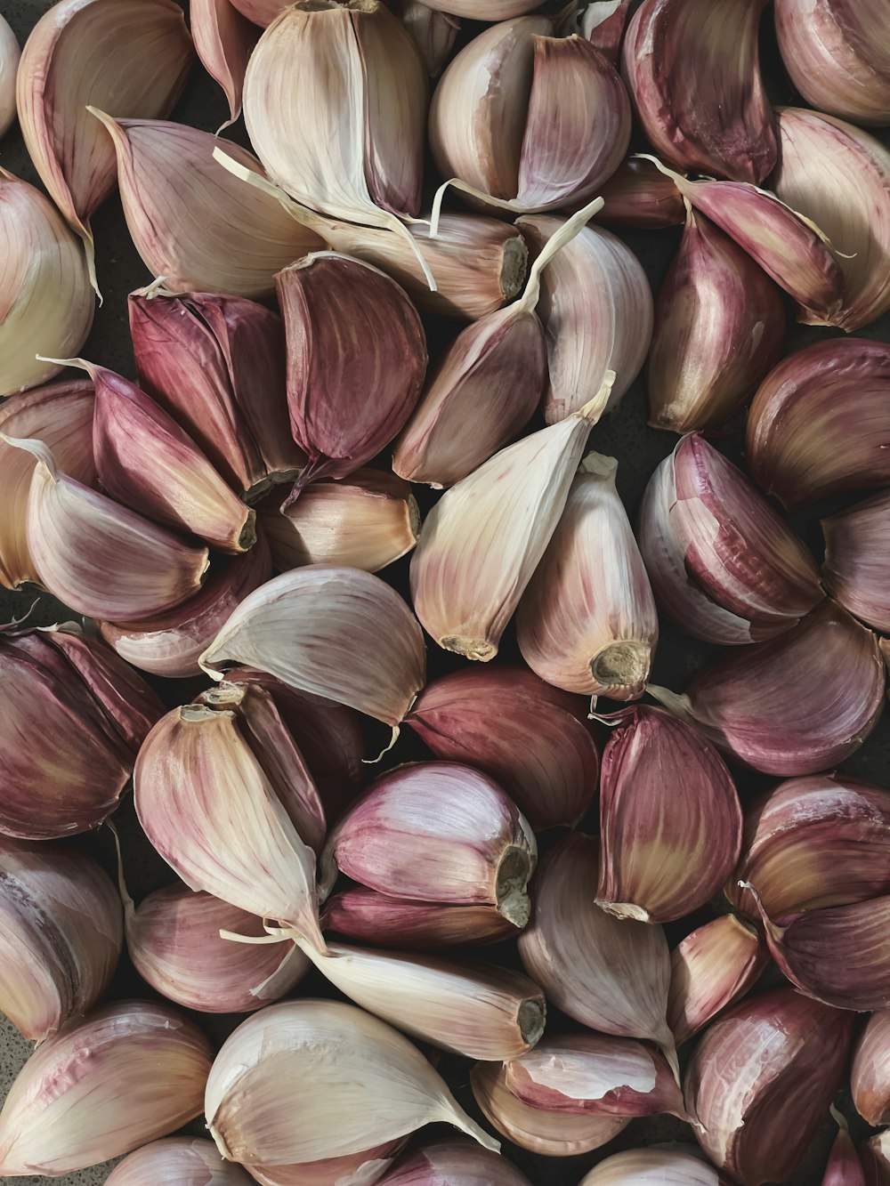 purple and white garlic lot