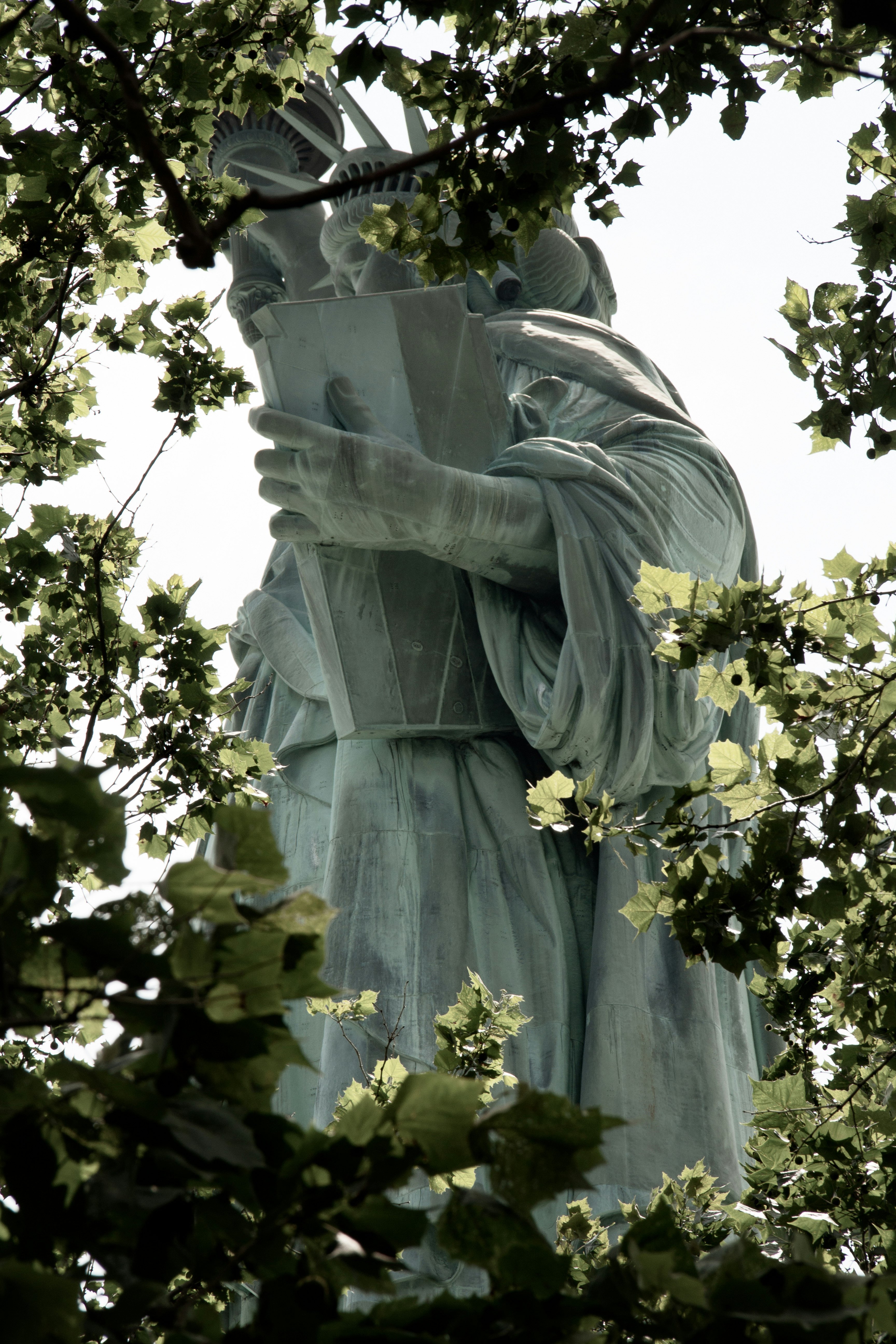 statue of man holding book surrounded by green leaves