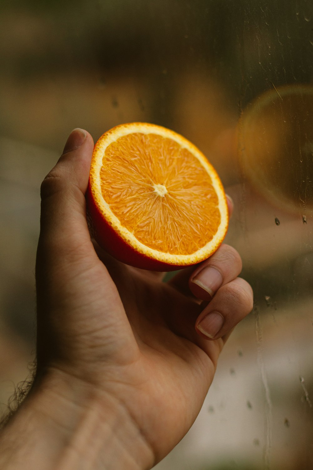 オレンジ色の柑橘系の果物を持っている人