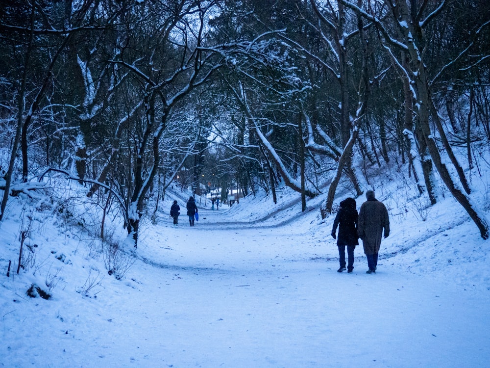 people walking on snow covered field during daytime