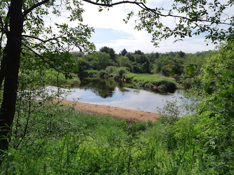 A serene riverside plot with lush greenery and calm water.