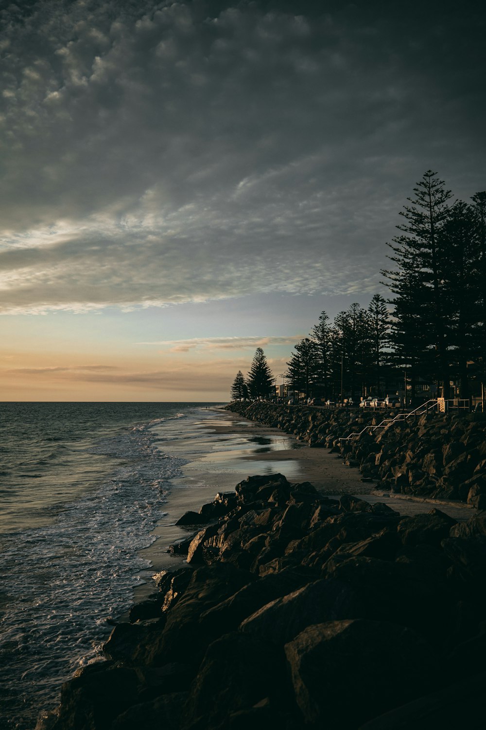 silhouette of trees near body of water during daytime