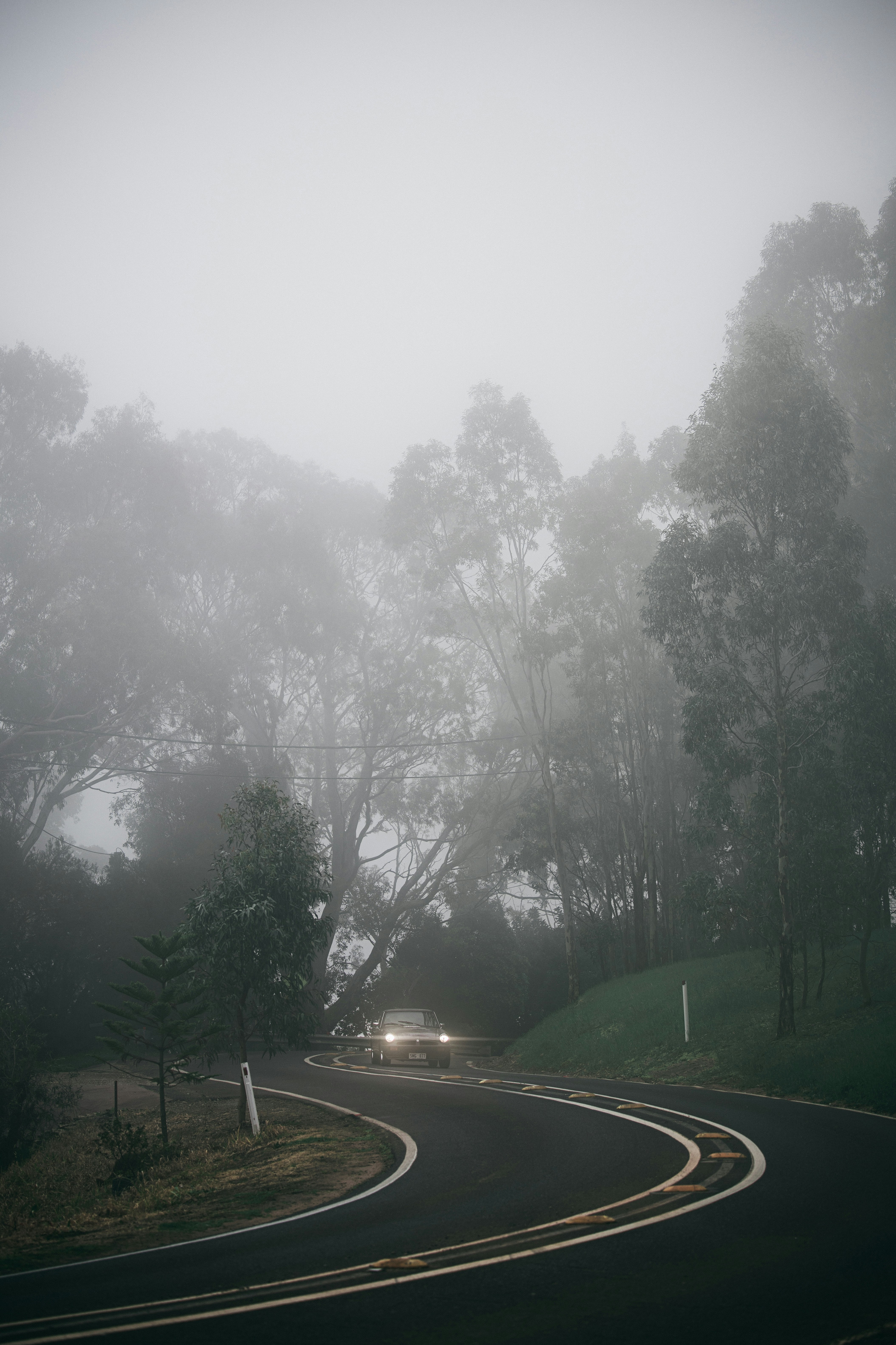 Photo by theandrewteoh