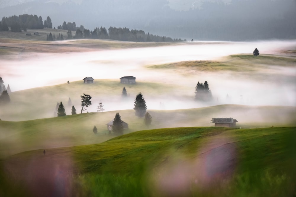 Grünes Grasfeld in der Nähe von Gewässern tagsüber