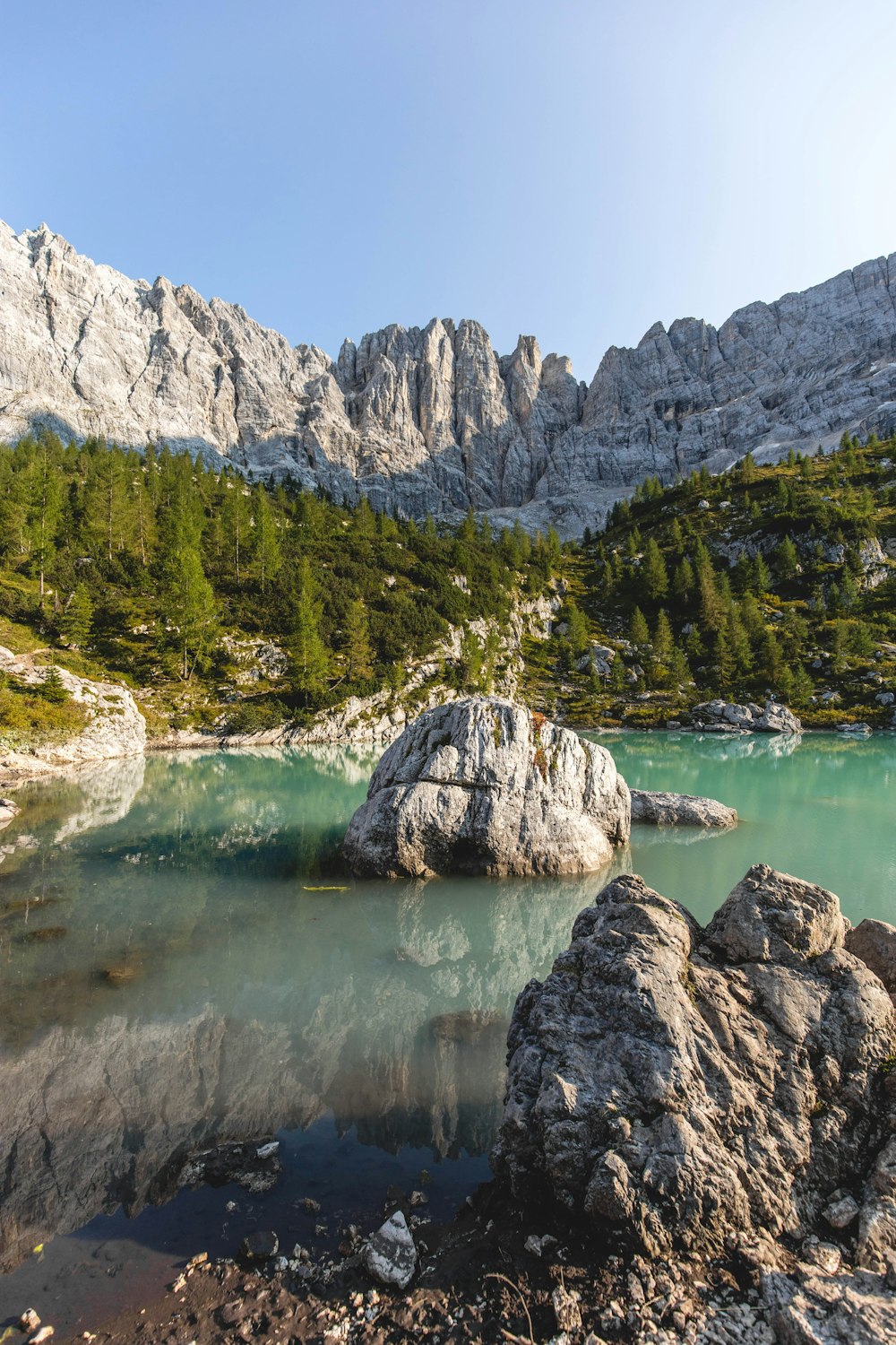 Árboles verdes cerca del lago y la montaña durante el día