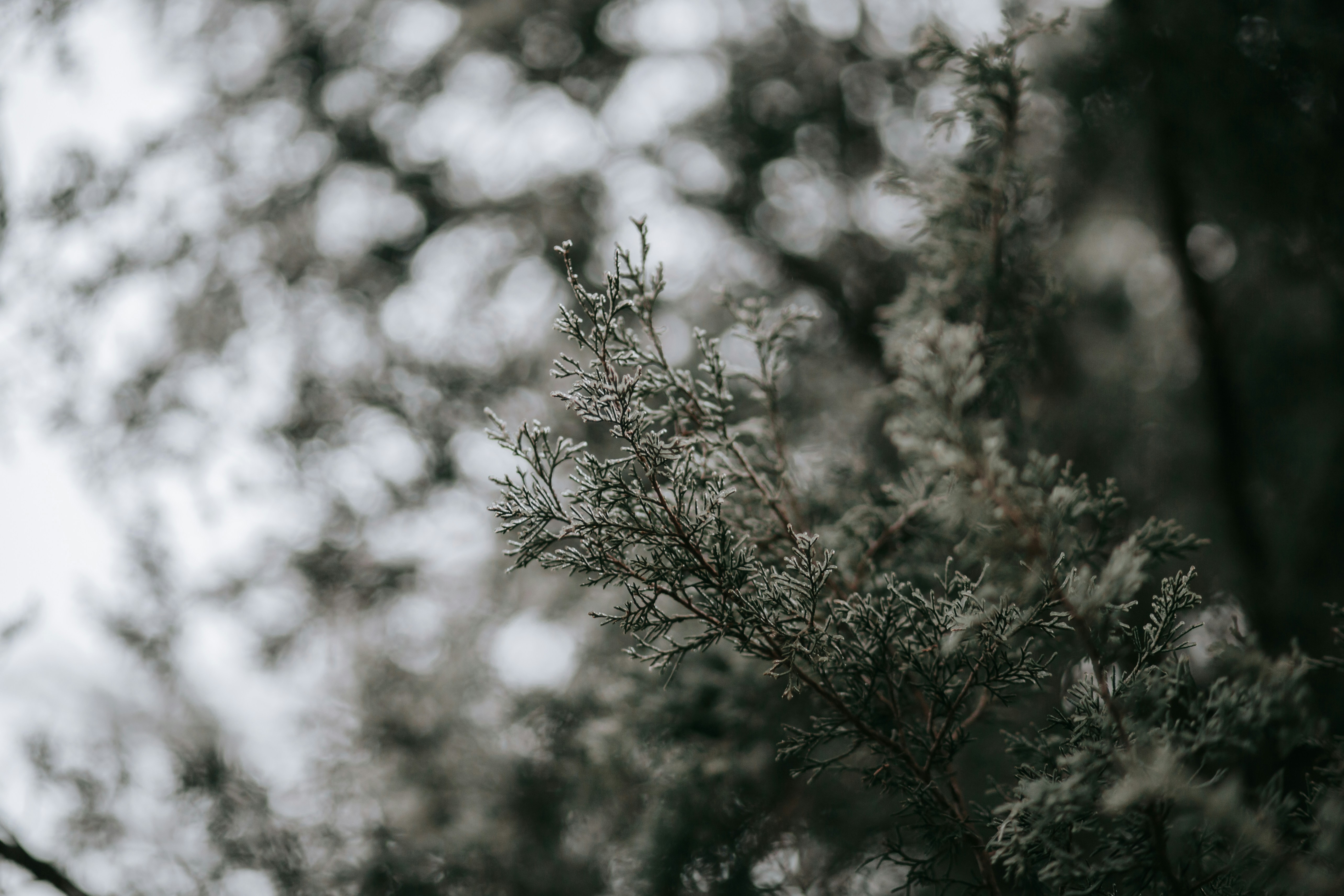 Photo by isaacmartin