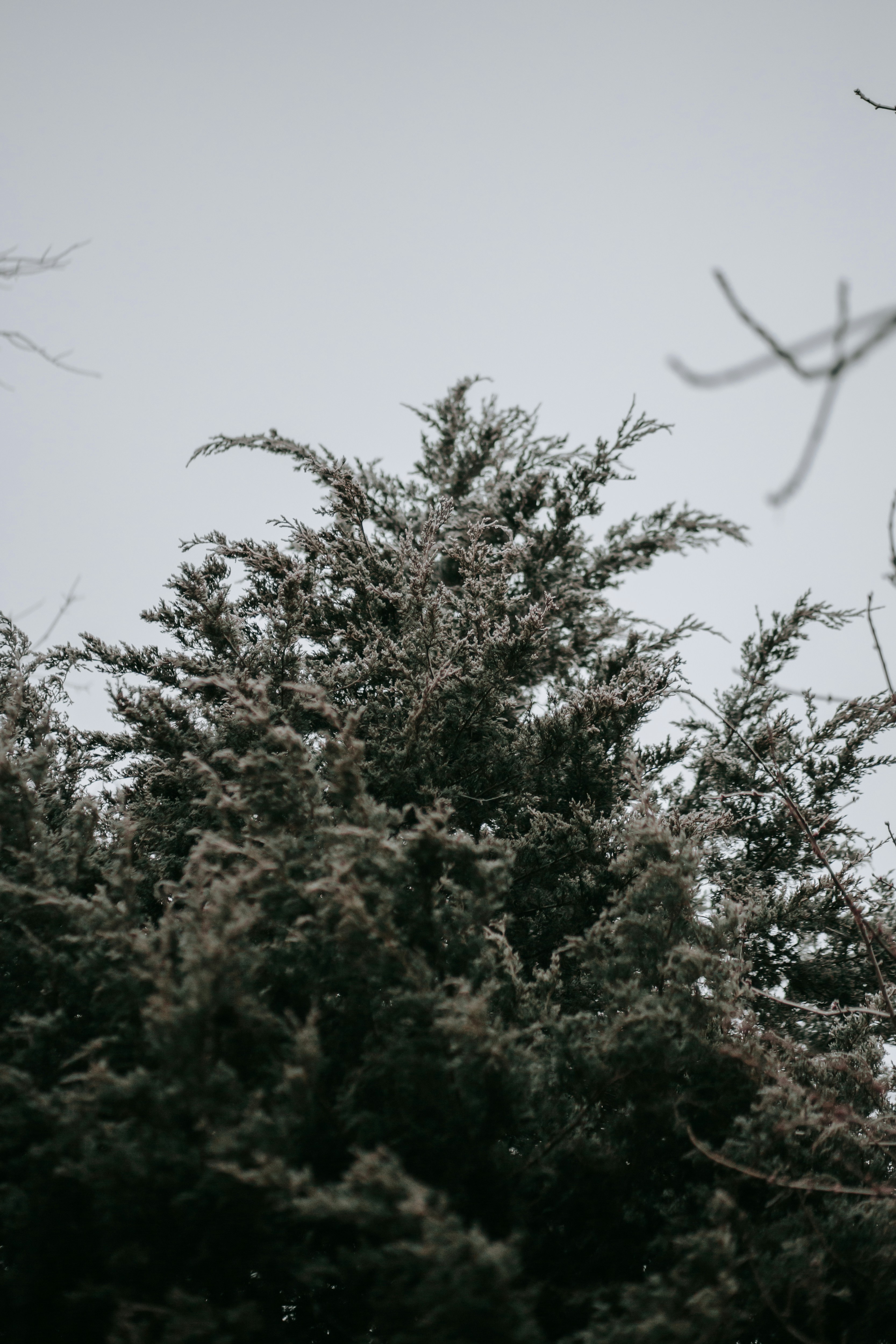 Photo by isaacmartin