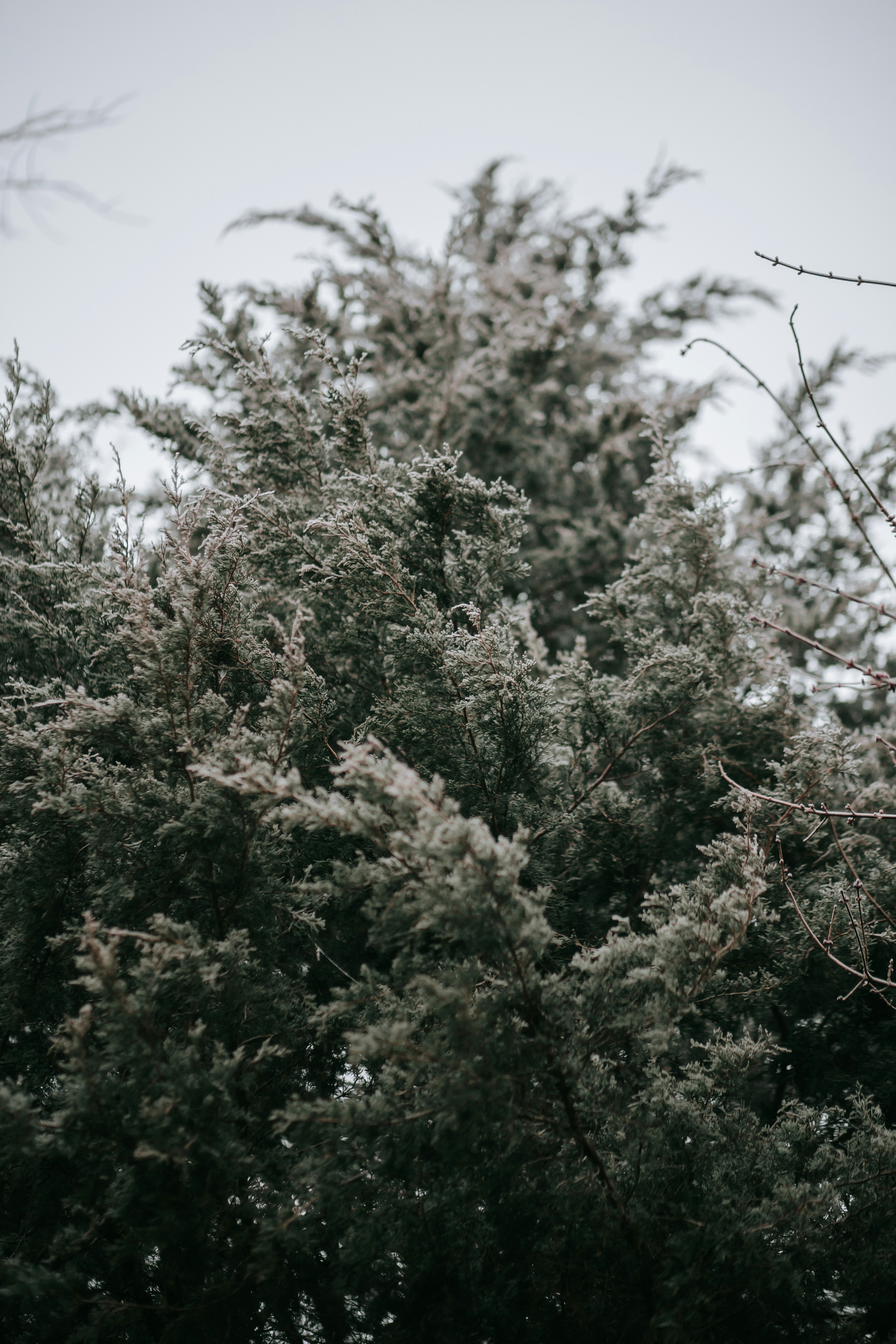 Photo by isaacmartin