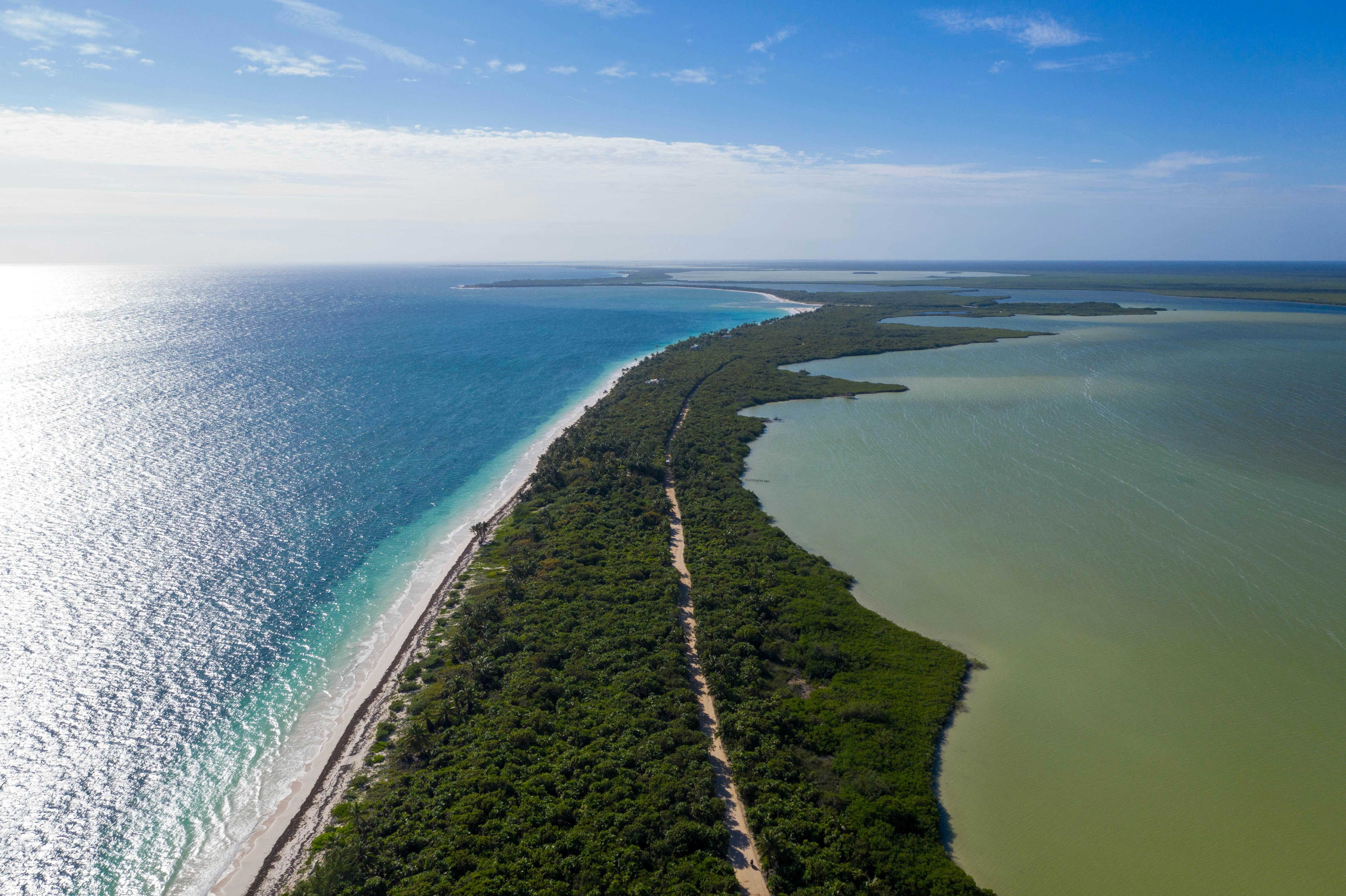 Photo by clayton_cardinalli