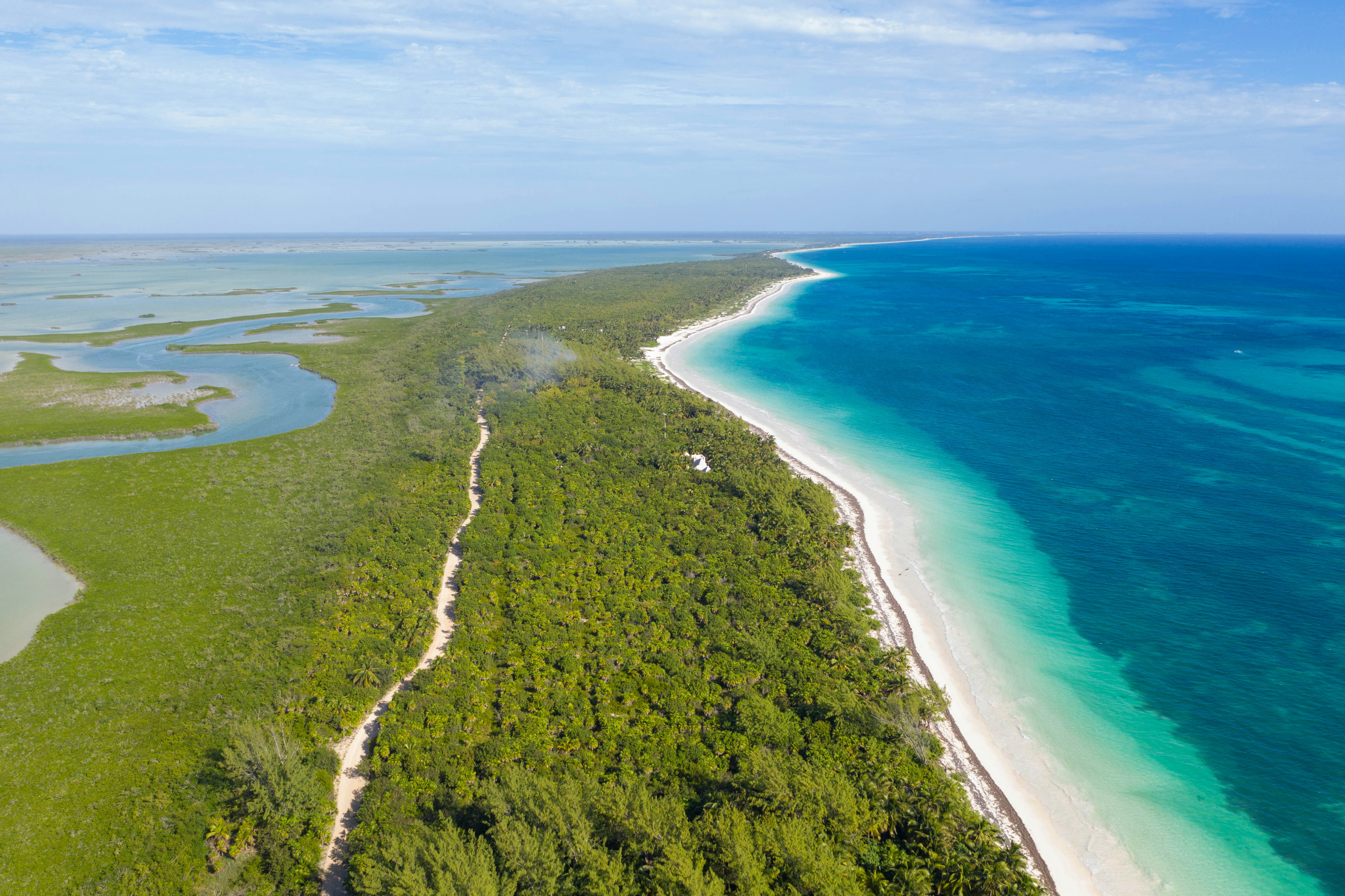 Photo by clayton_cardinalli