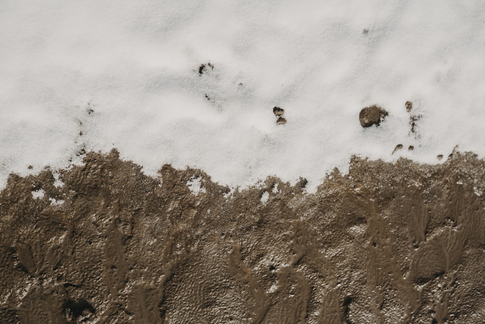 flock of birds flying over brown mountain during daytime