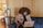 A person with curly hair is sitting on a blue couch, engaged in a video call on a laptop. The setting appears to be a cozy, wood-paneled room with a television, potted plants, and warm lighting.