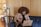 A person with curly hair is sitting on a blue couch, engaged in a video call on a laptop. The setting appears to be a cozy, wood-paneled room with a television, potted plants, and warm lighting.