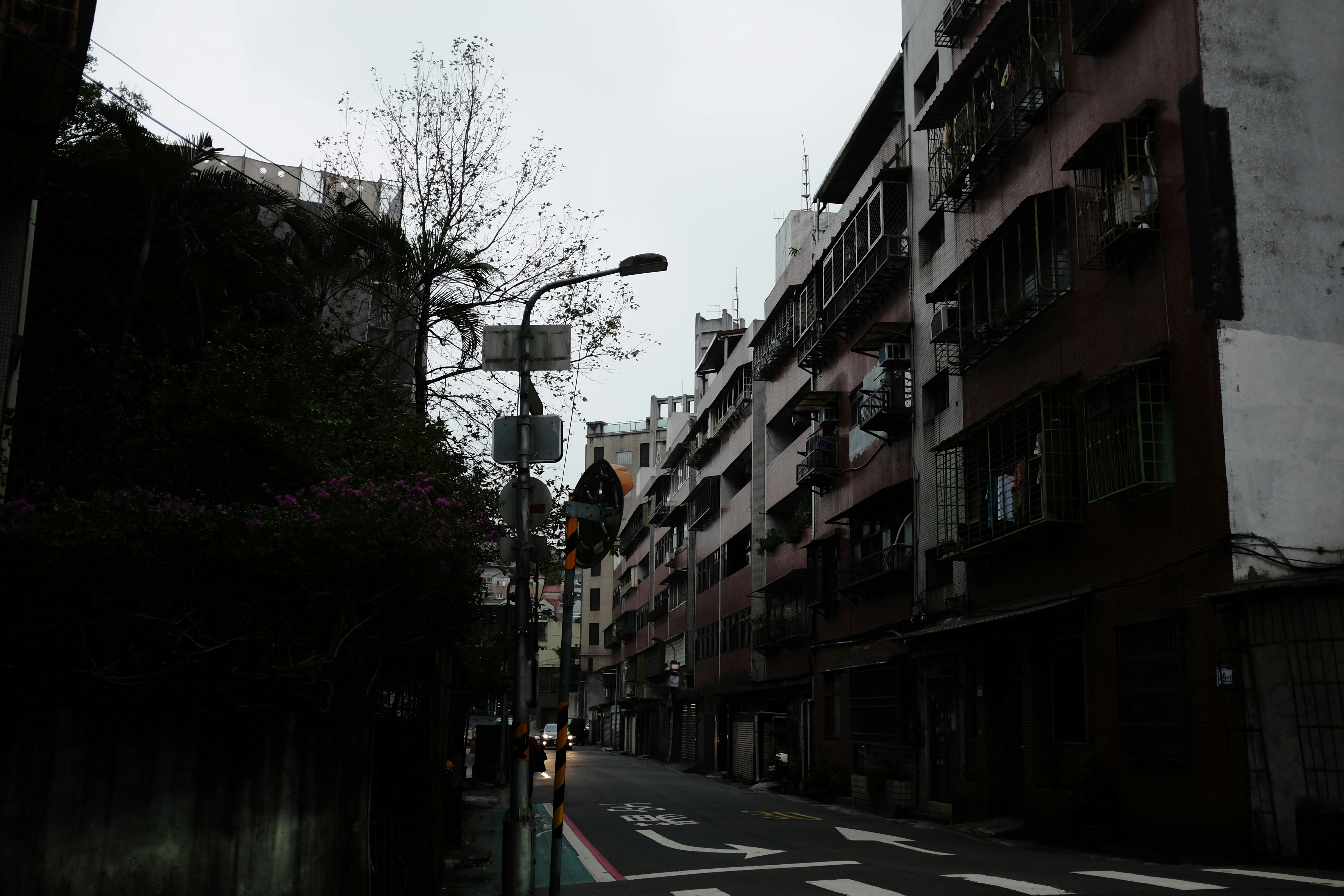 Photo by mclee