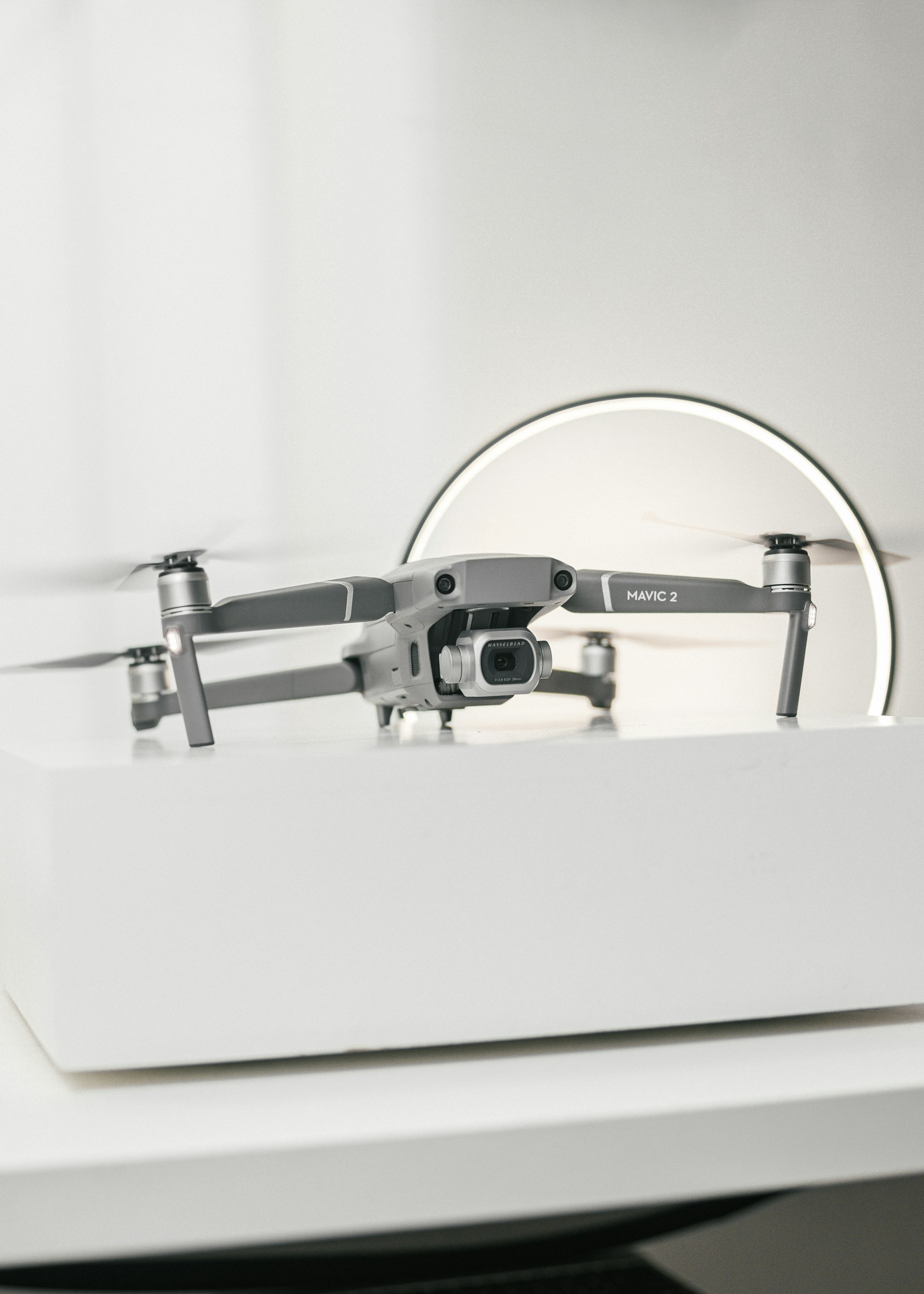 woman holding dried flower