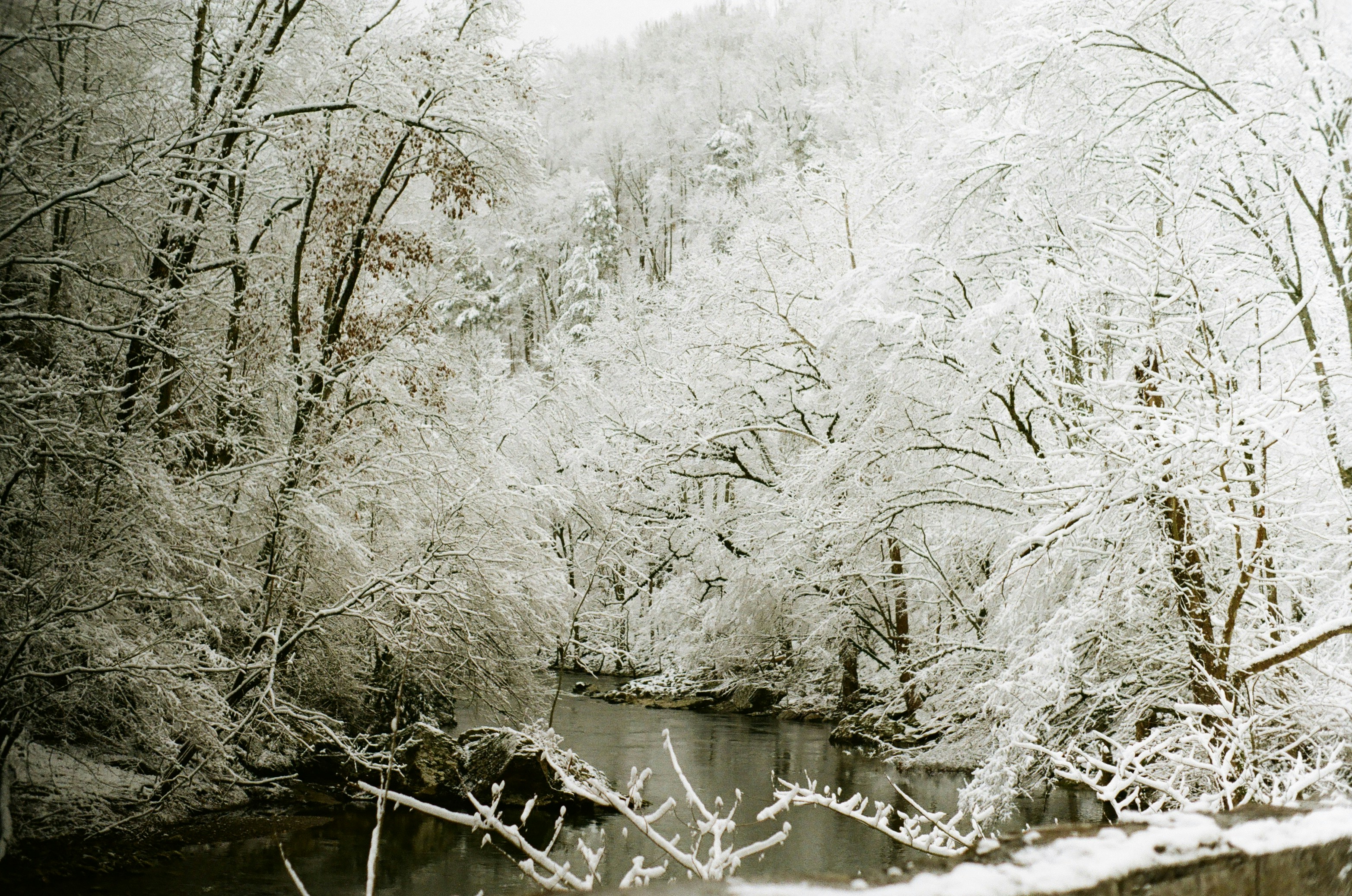 Photo by stonehood