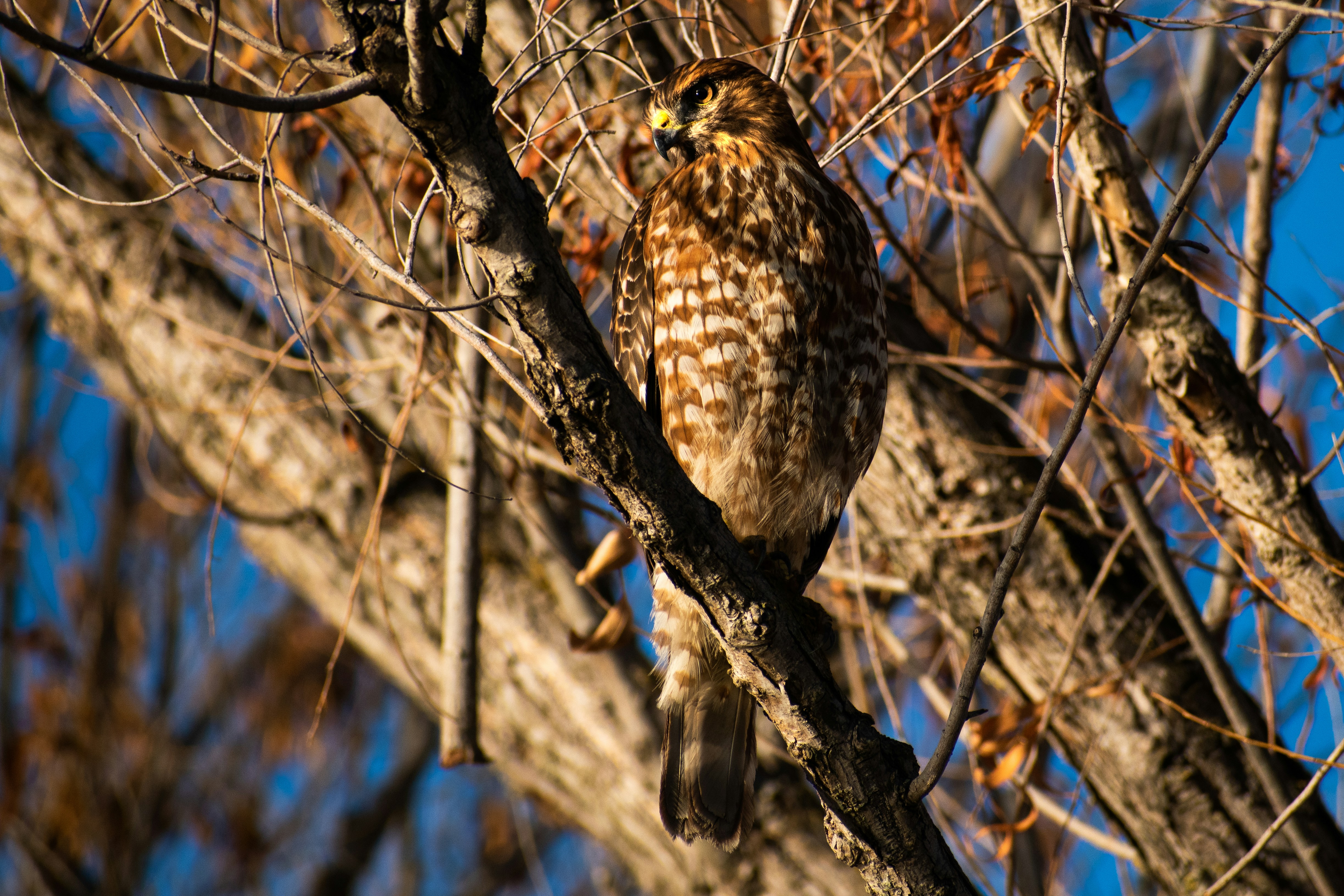 Photo by elisastonephotography